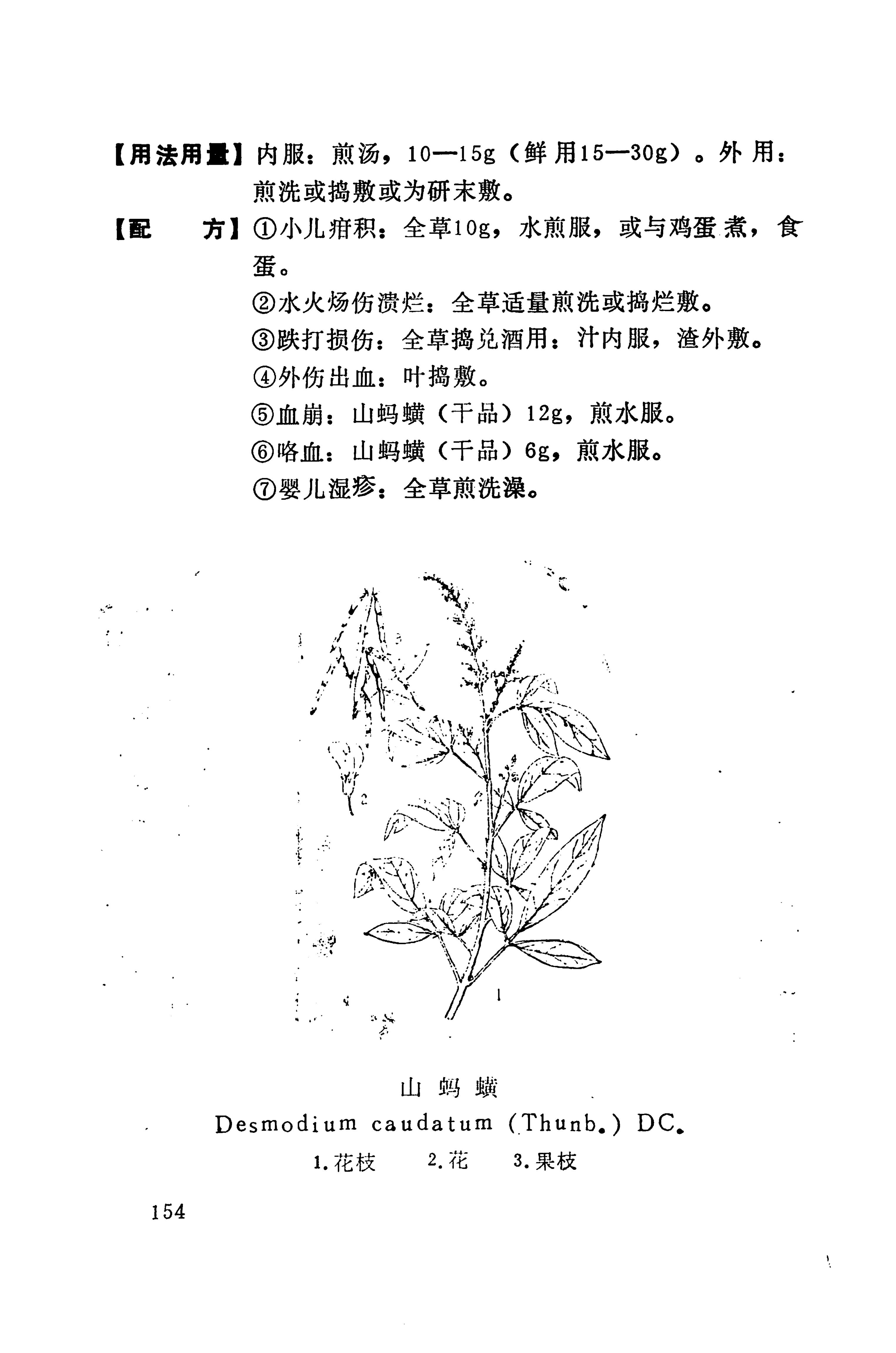 湘西苗药汇编_172.jpg