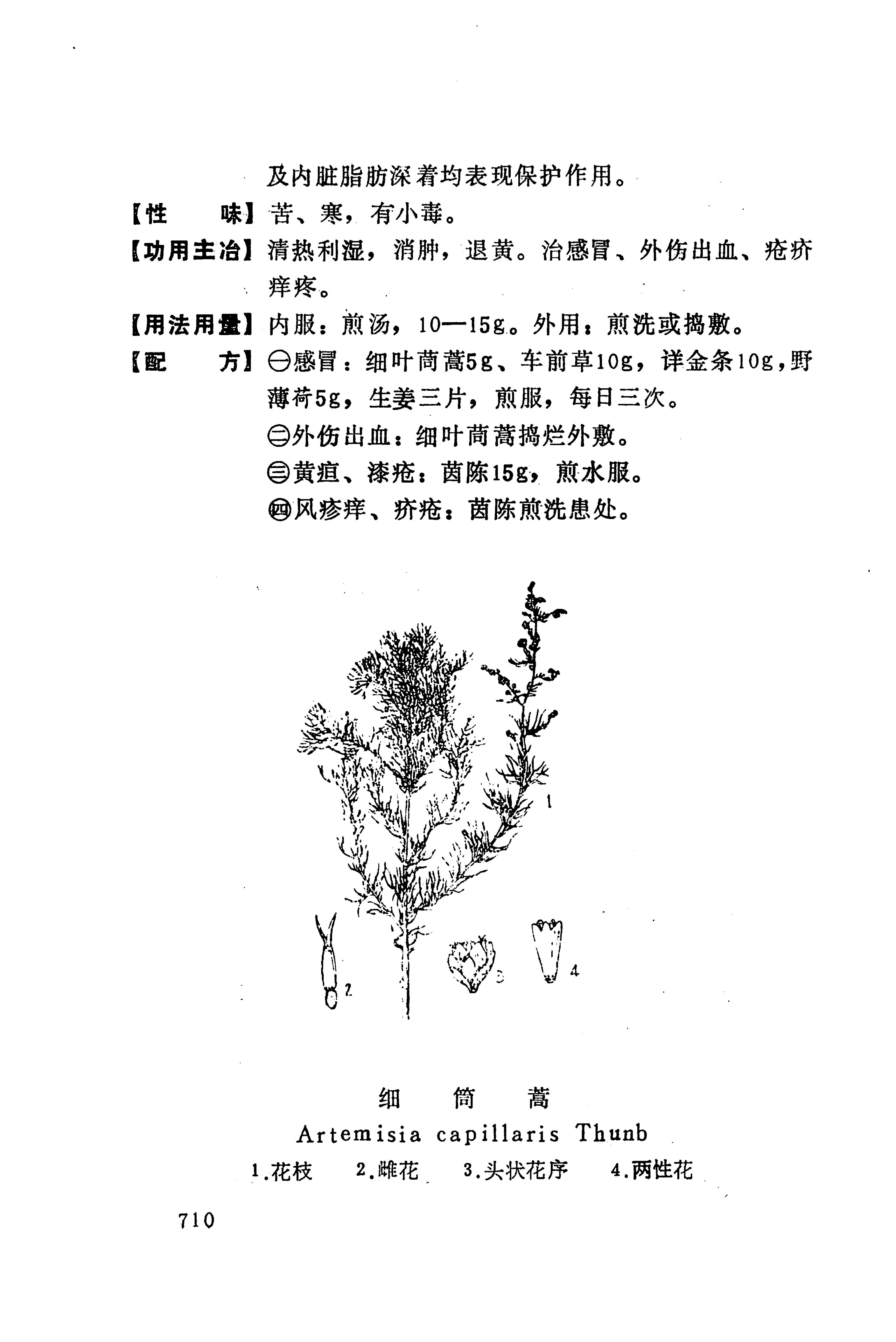 湘西苗药汇编_728.jpg