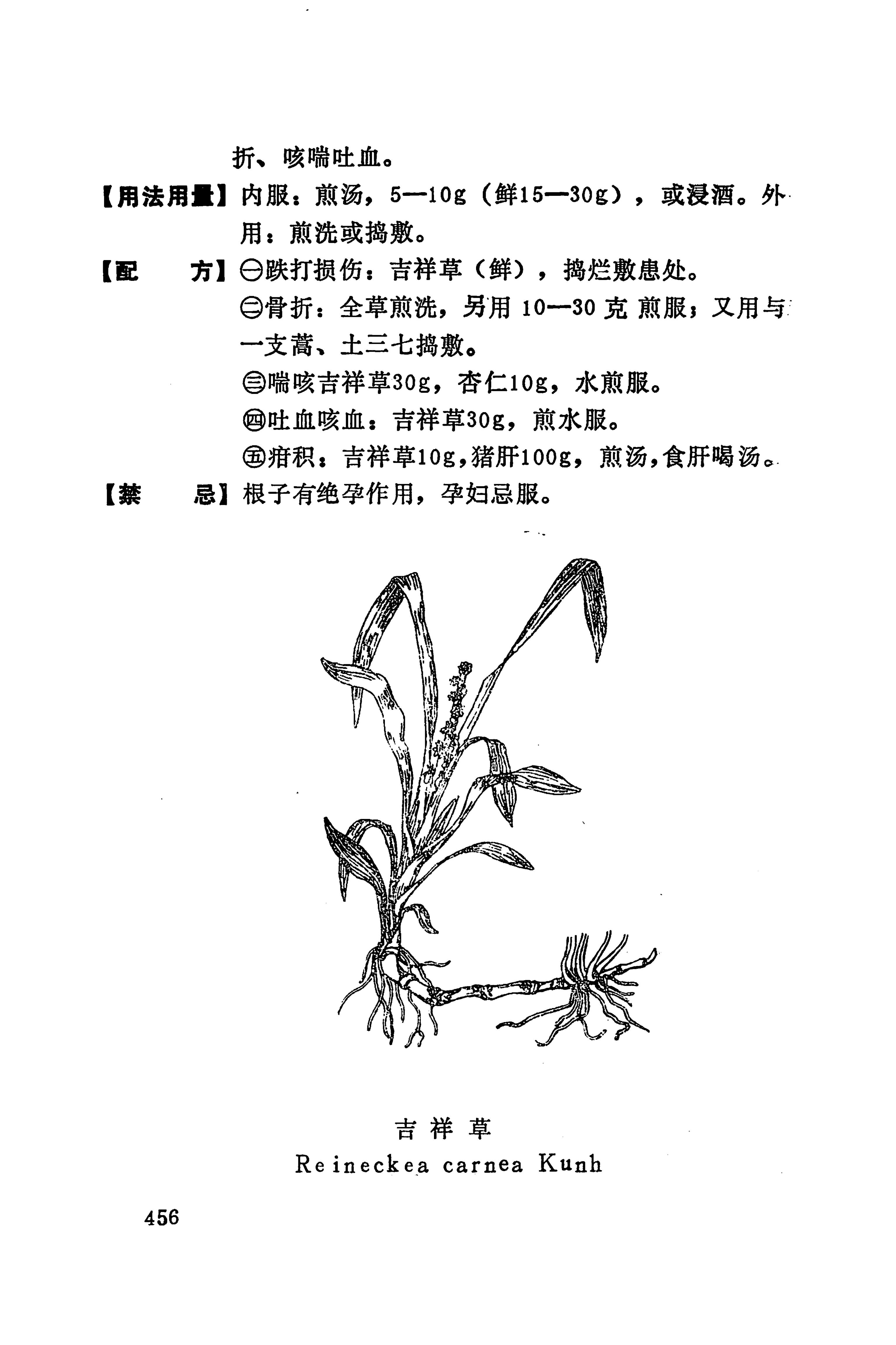 湘西苗药汇编_474.jpg