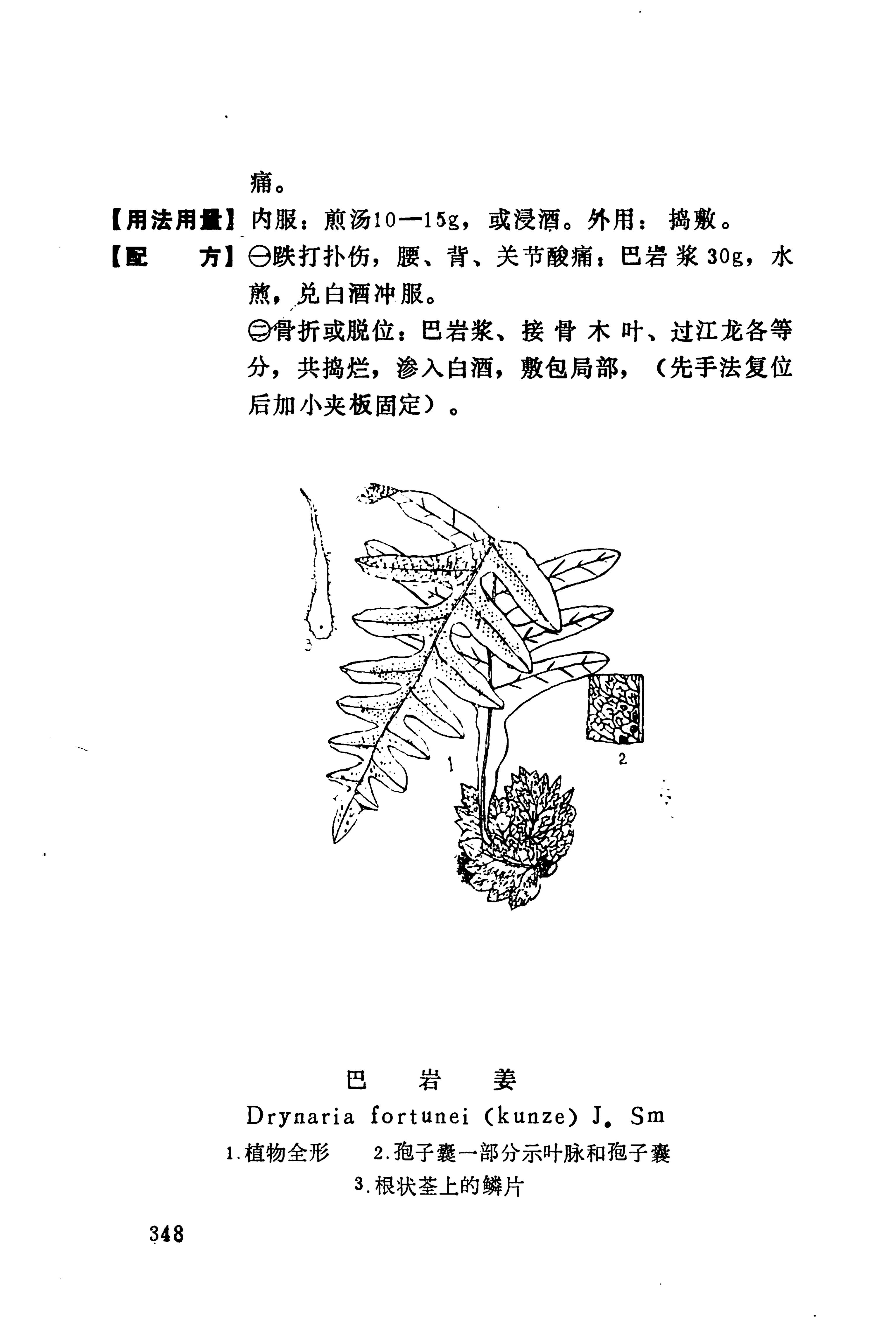 湘西苗药汇编_366.jpg