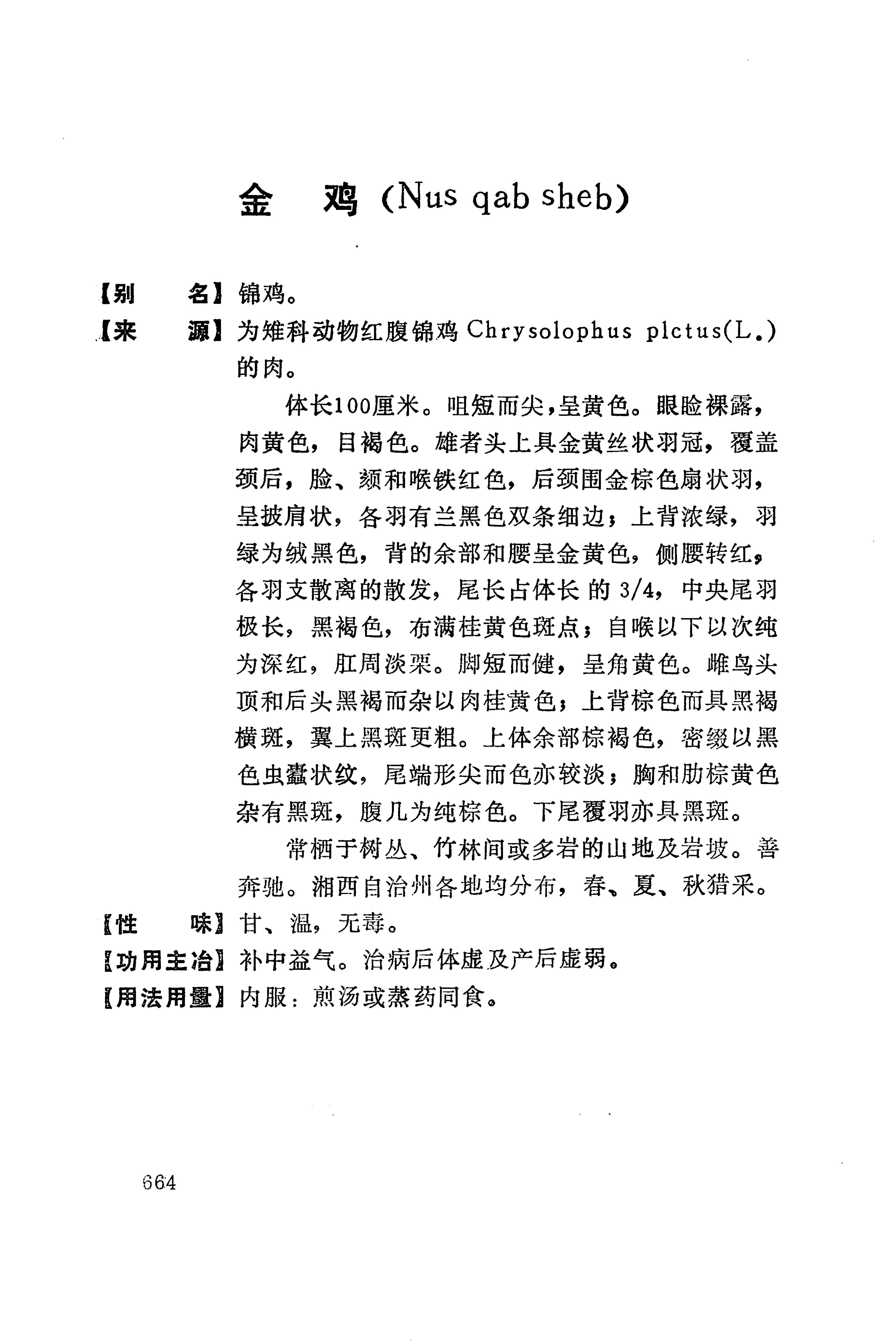 湘西苗药汇编_682.jpg