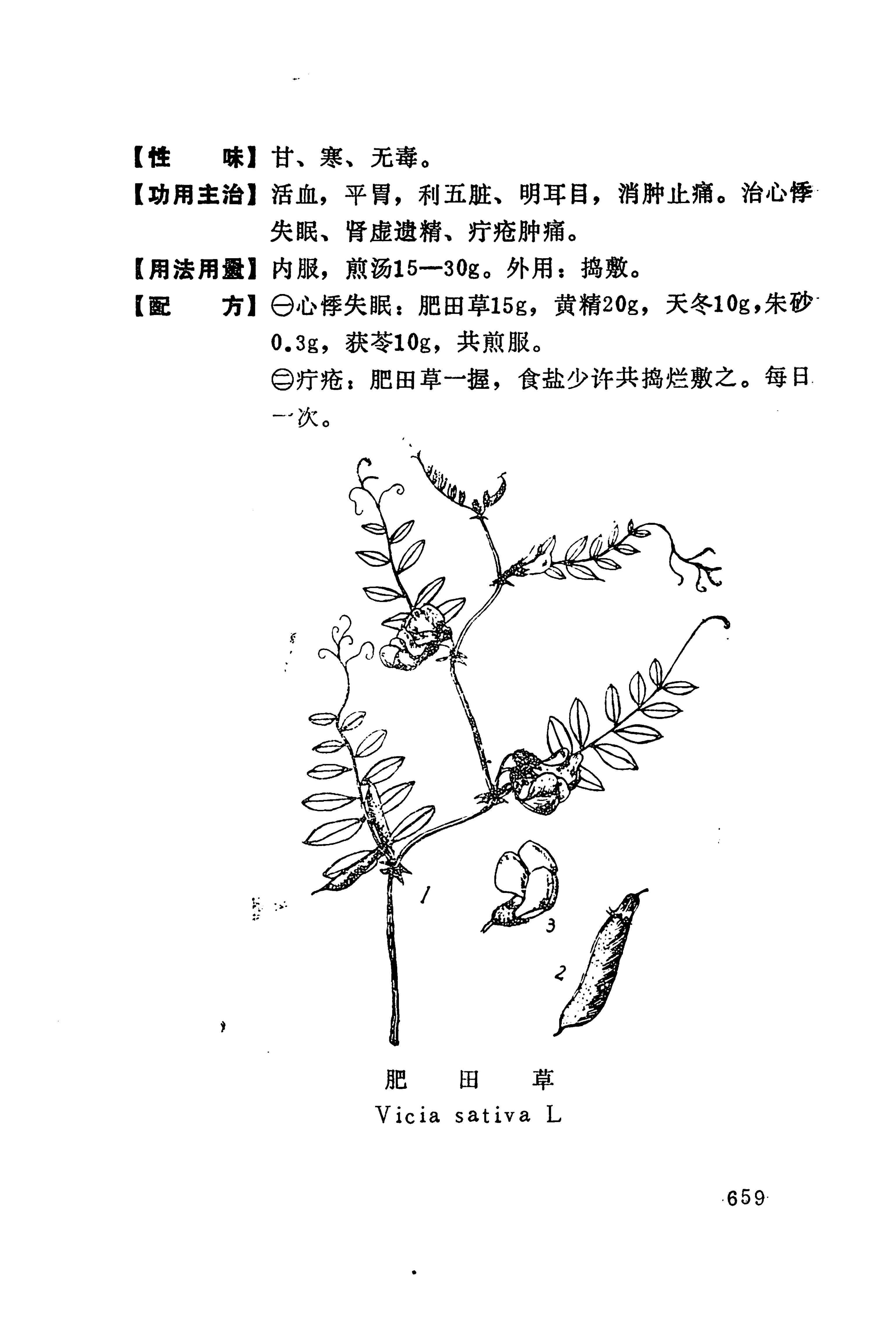 湘西苗药汇编_677.jpg