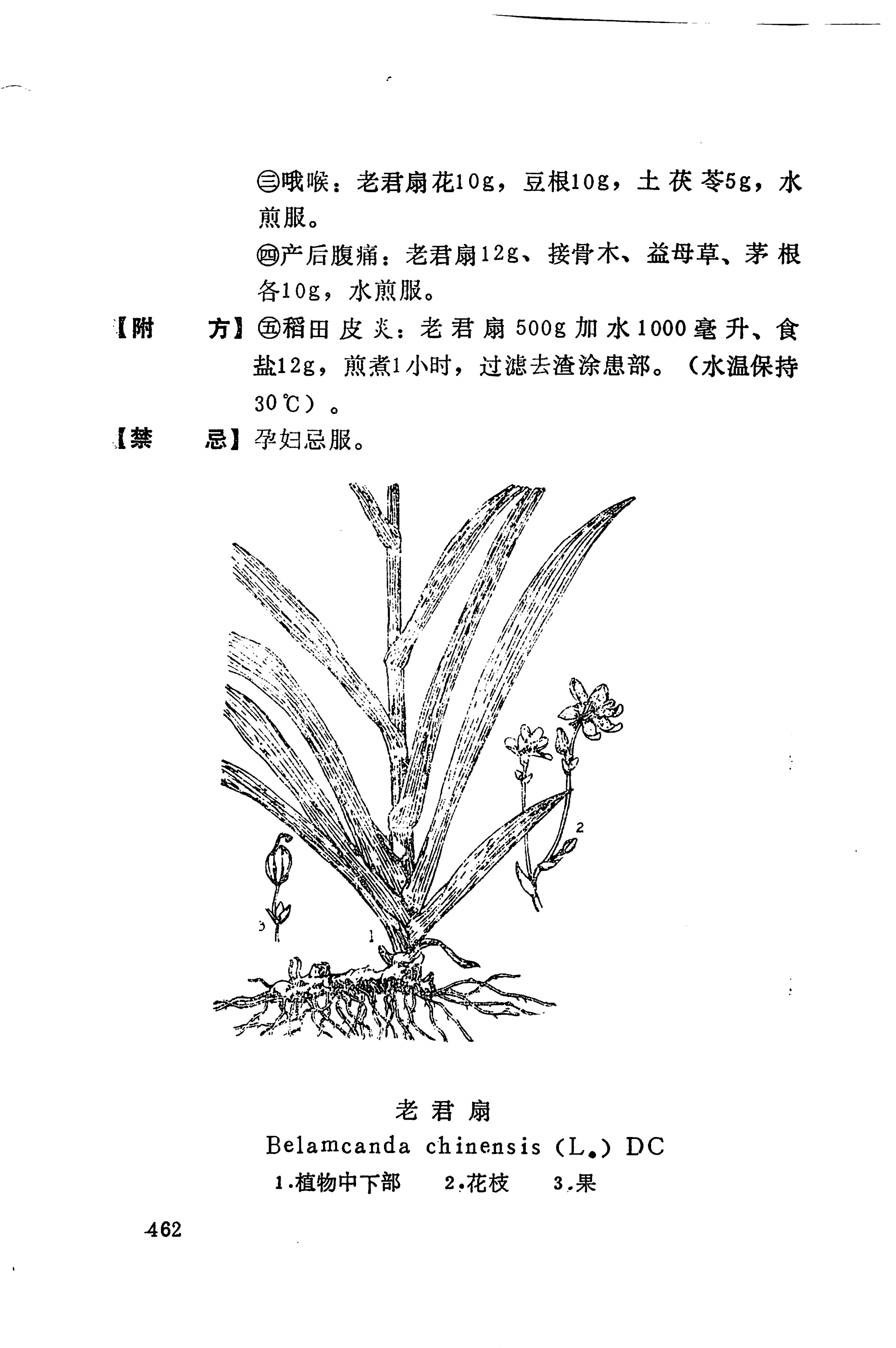 湘西苗药汇编_480.jpg