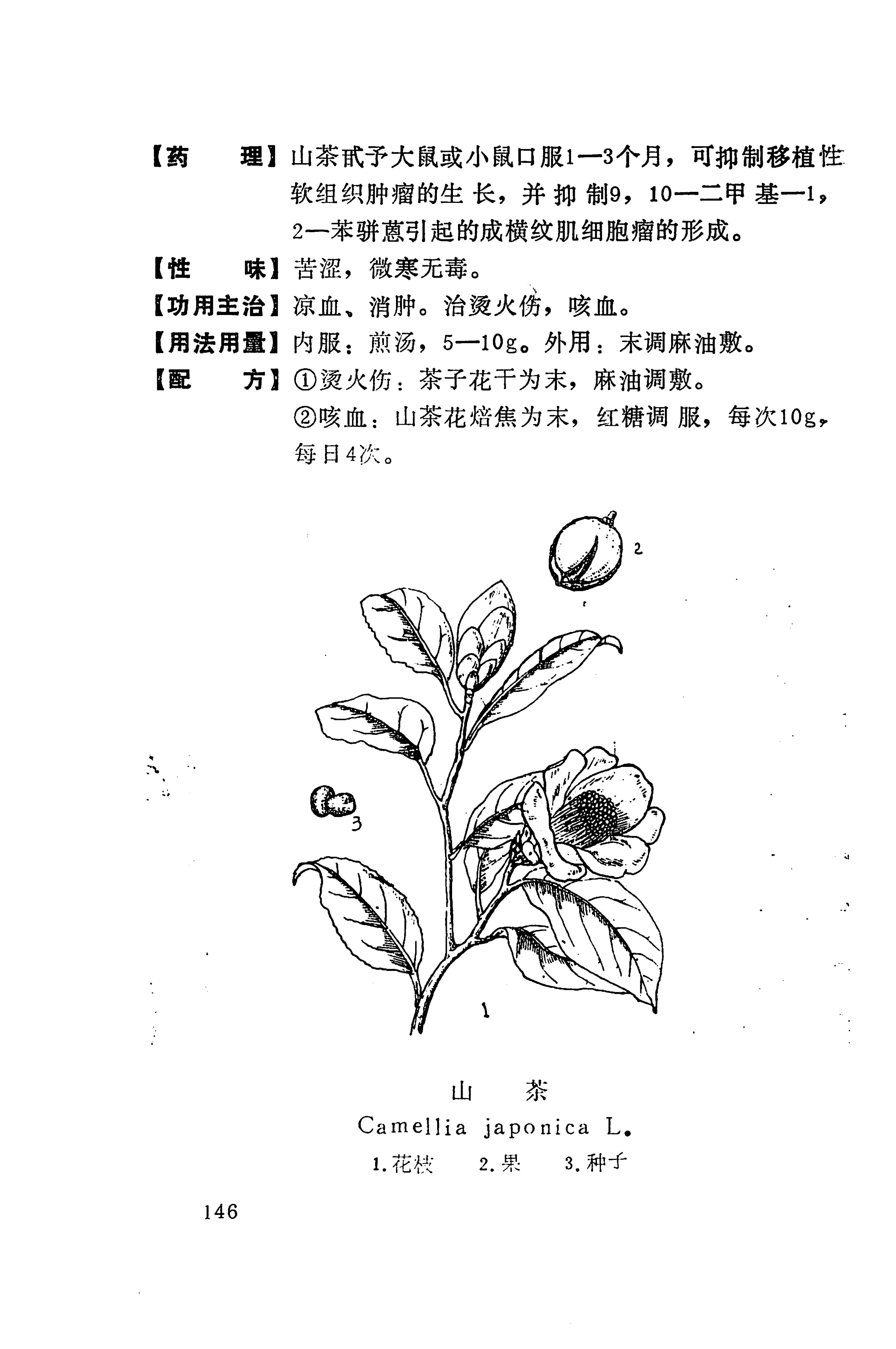 湘西苗药汇编_164.jpg