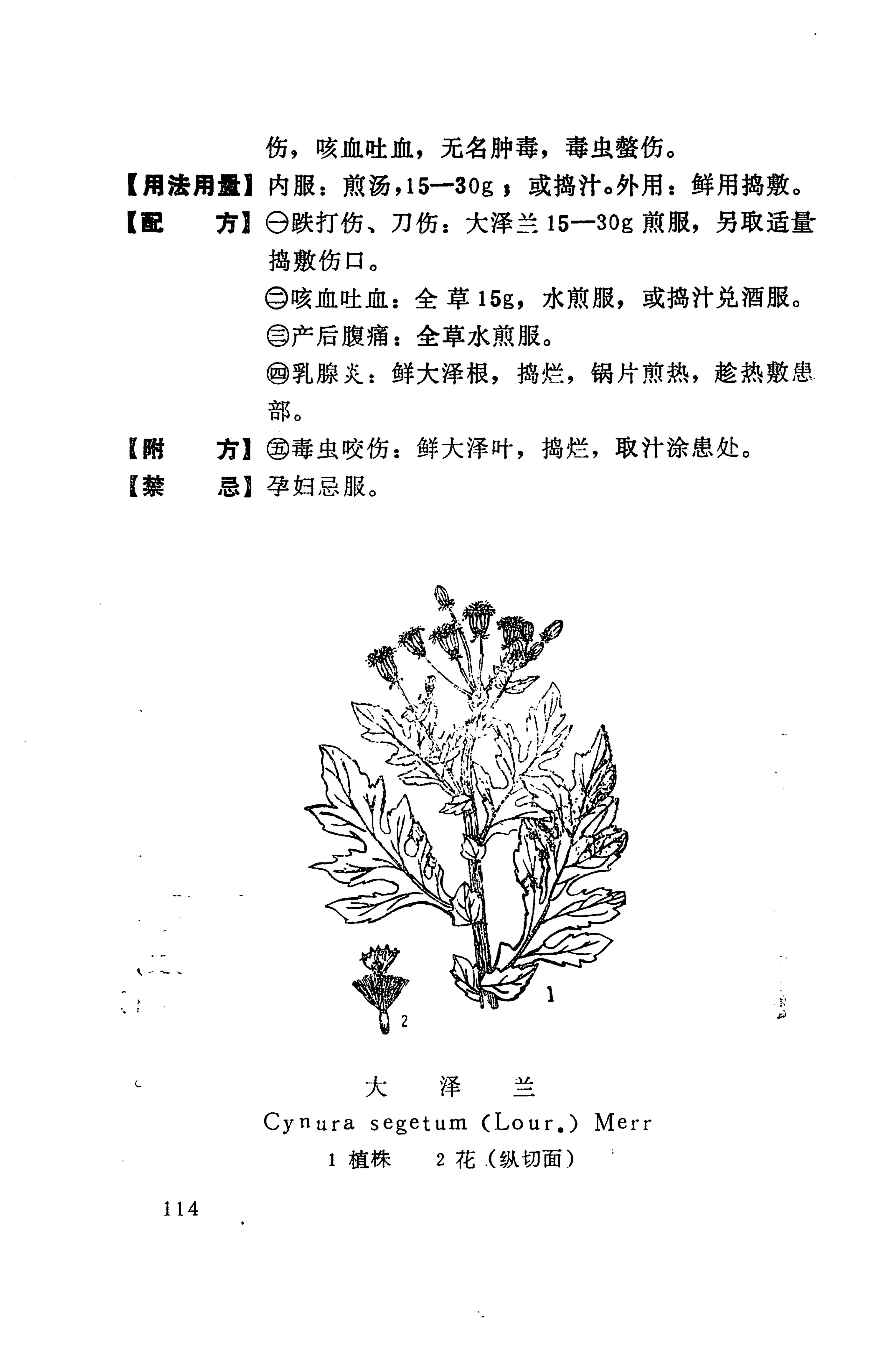 湘西苗药汇编_132.jpg