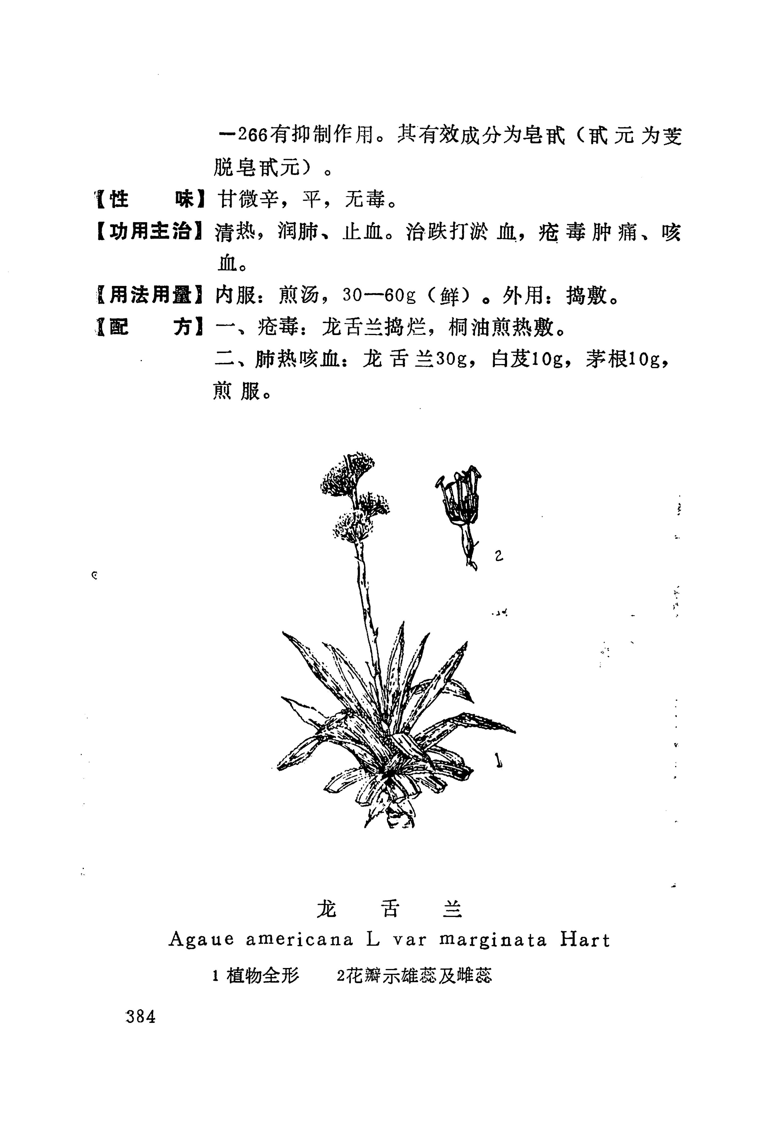 湘西苗药汇编_402.jpg