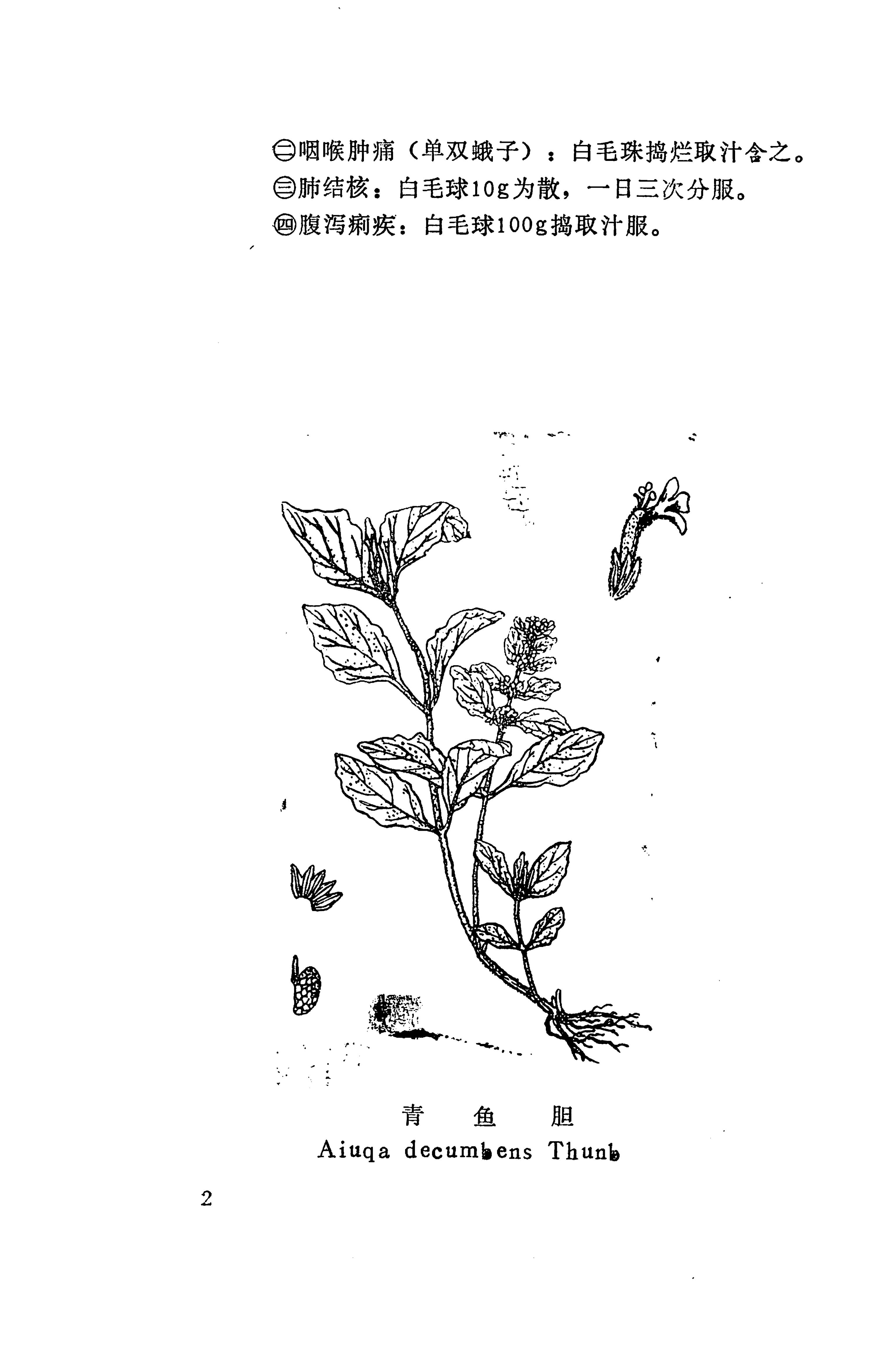 湘西苗药汇编_590.jpg