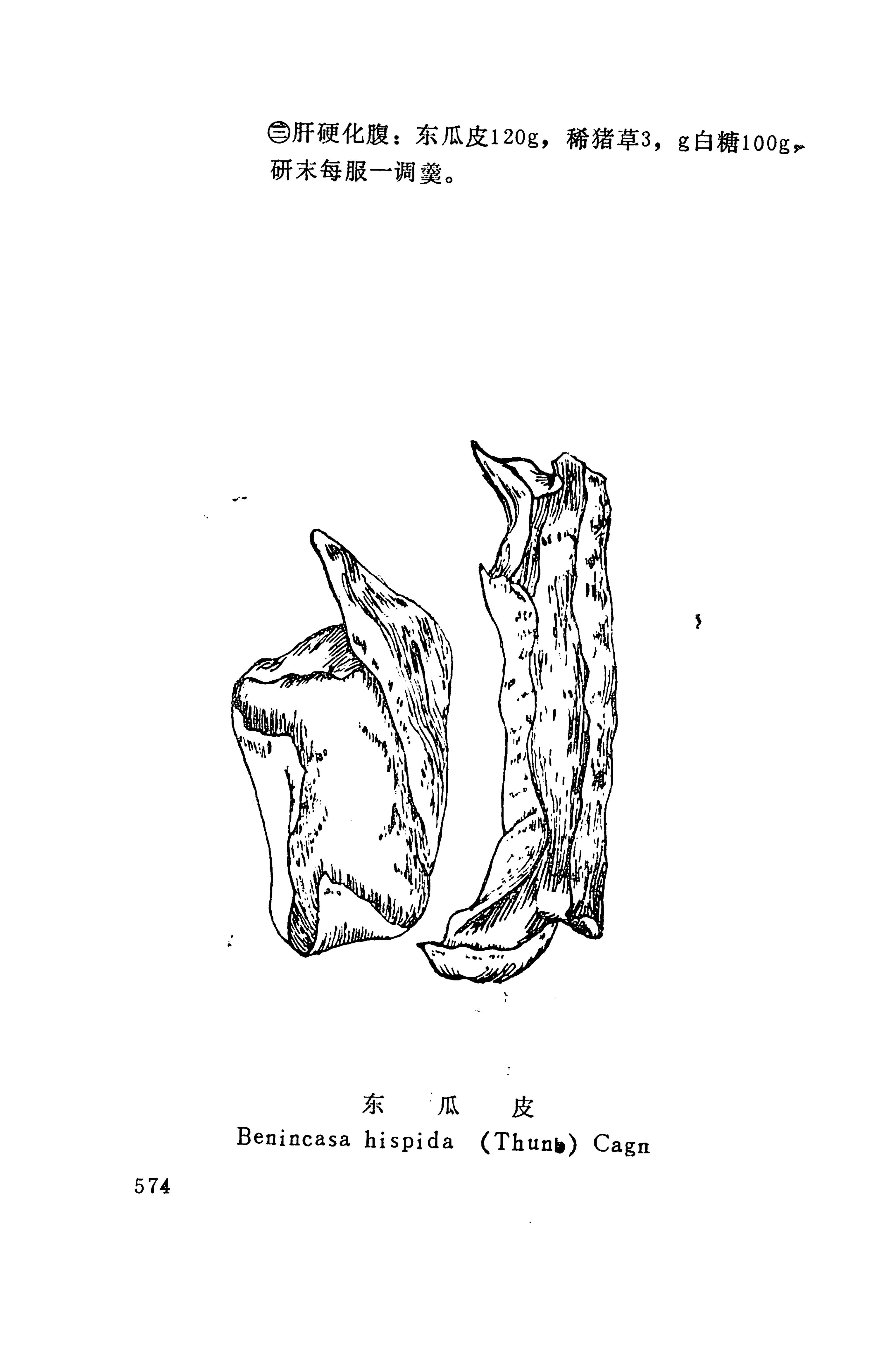 湘西苗药汇编_592.jpg