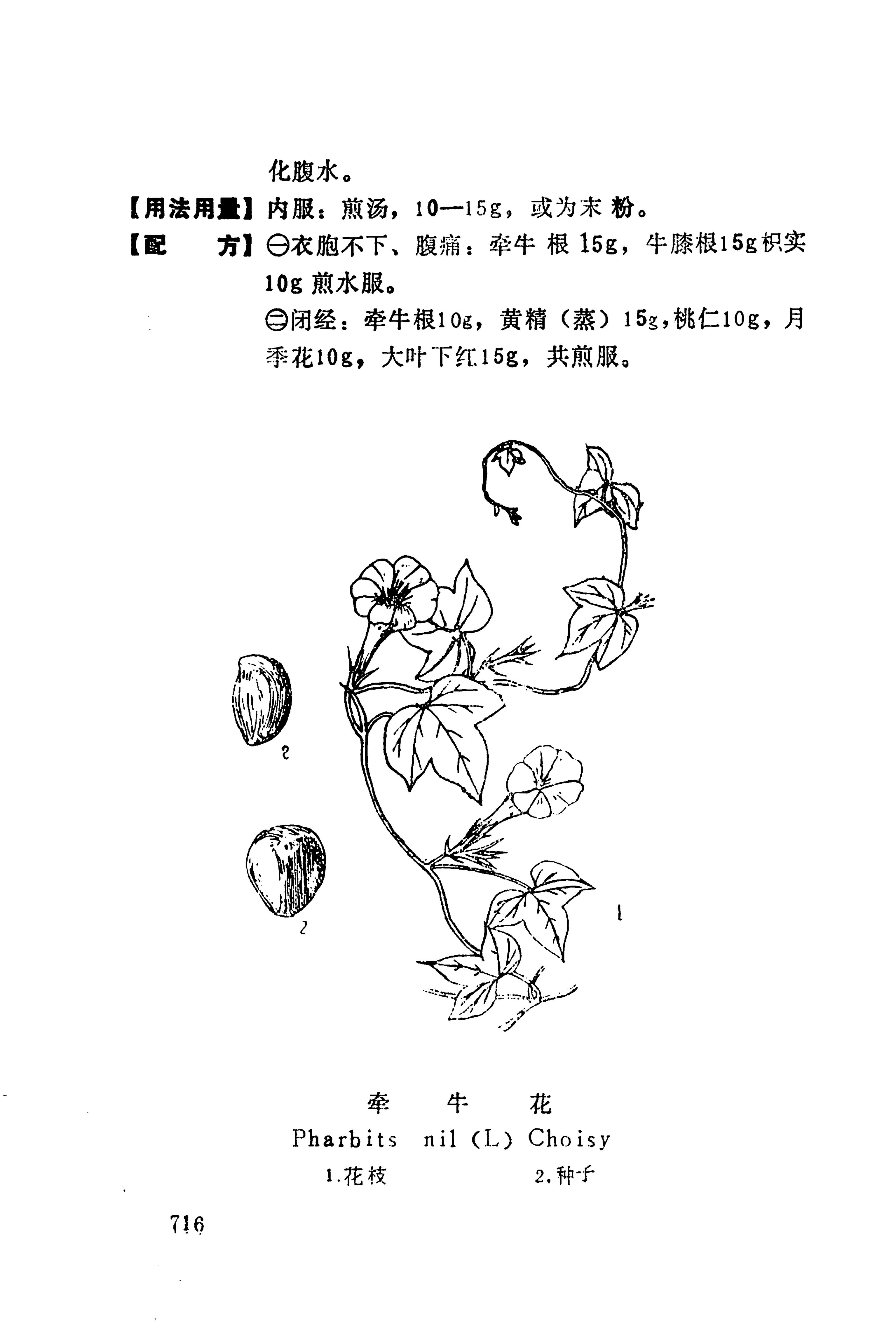 湘西苗药汇编_734.jpg