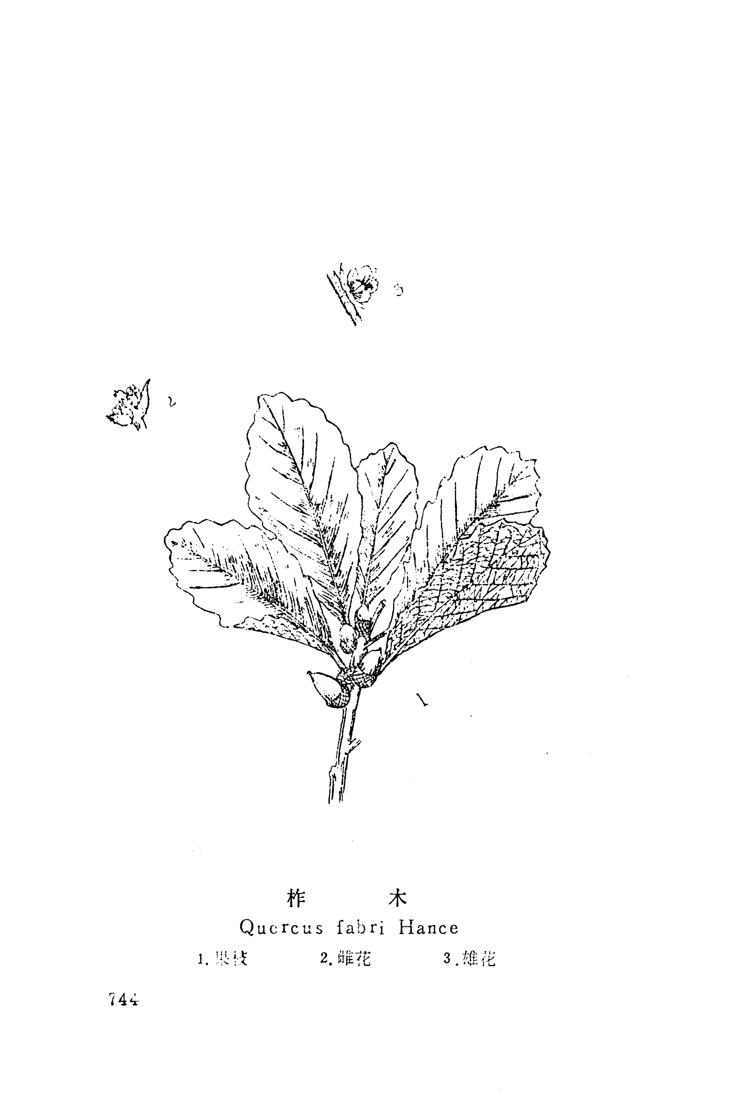 湘西苗药汇编_762.jpg
