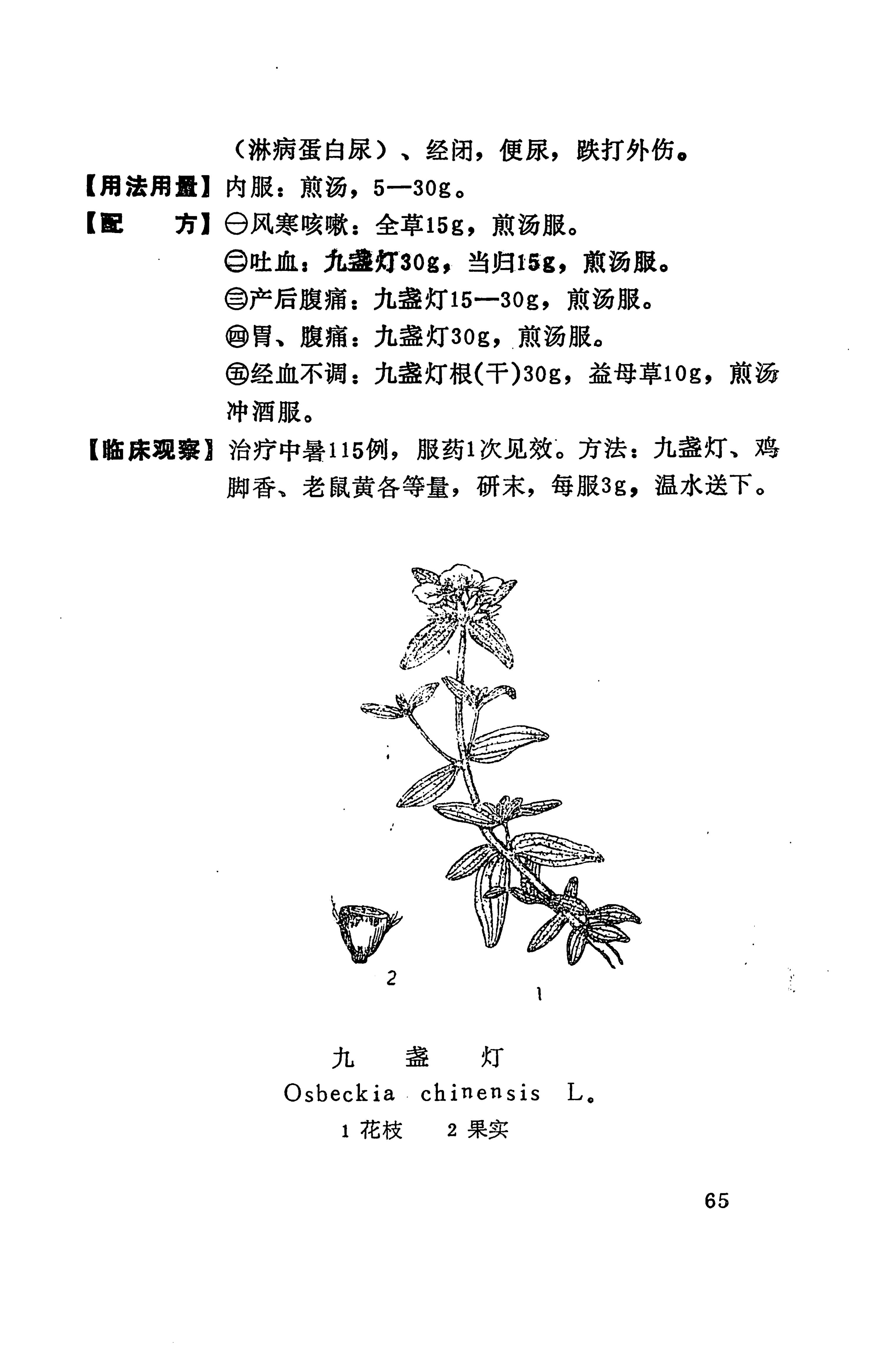 湘西苗药汇编_83.jpg