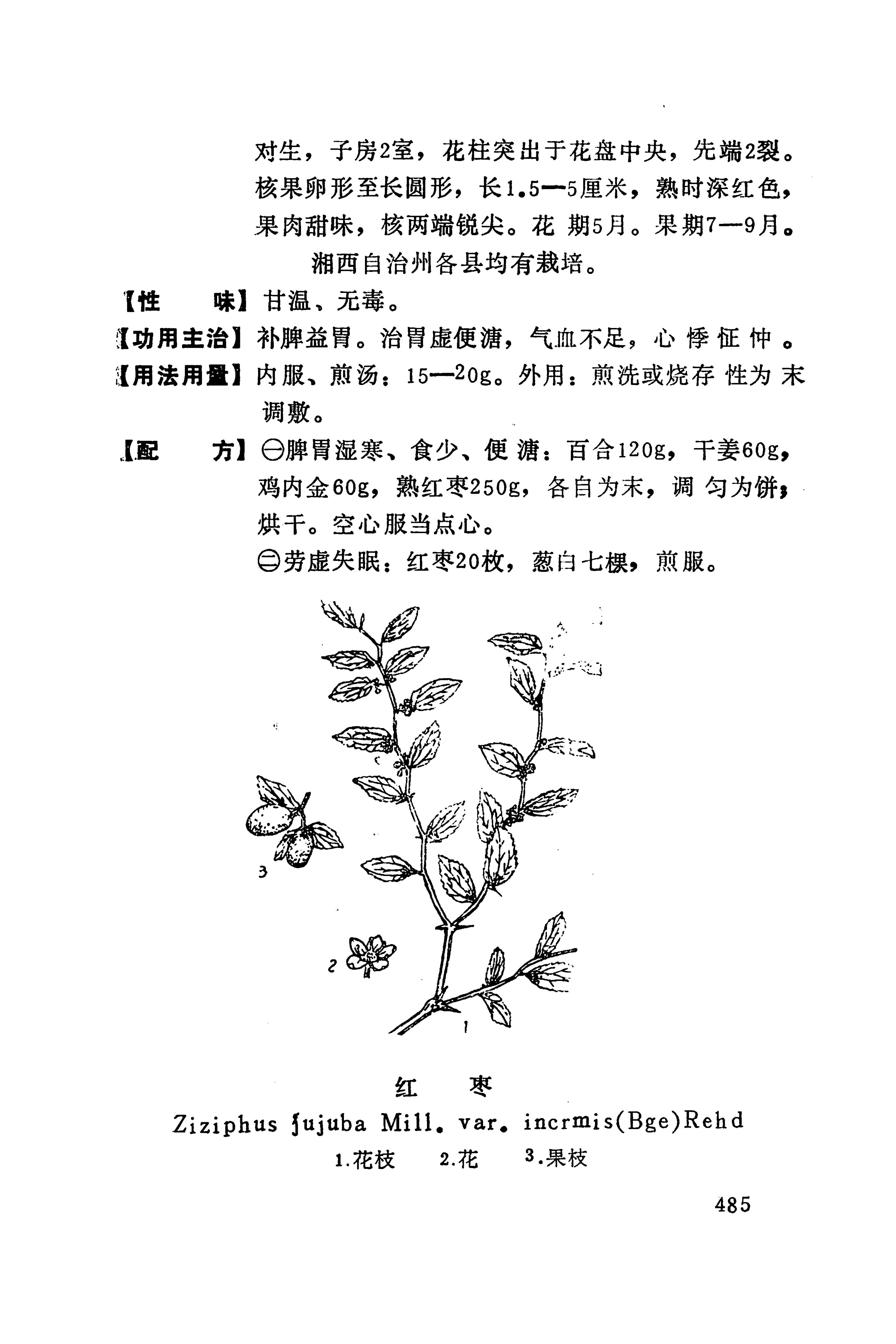 湘西苗药汇编_503.jpg