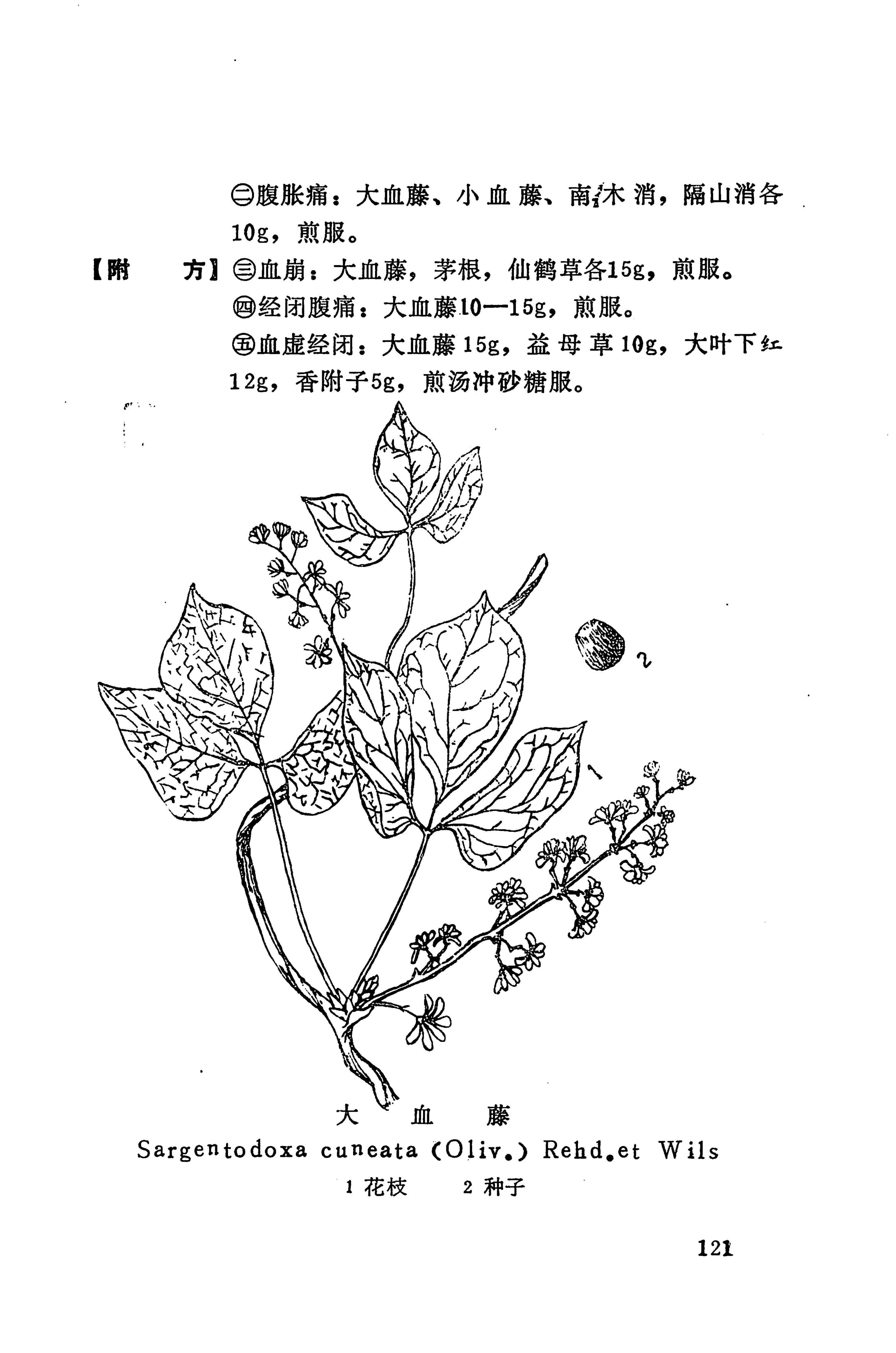 湘西苗药汇编_139.jpg