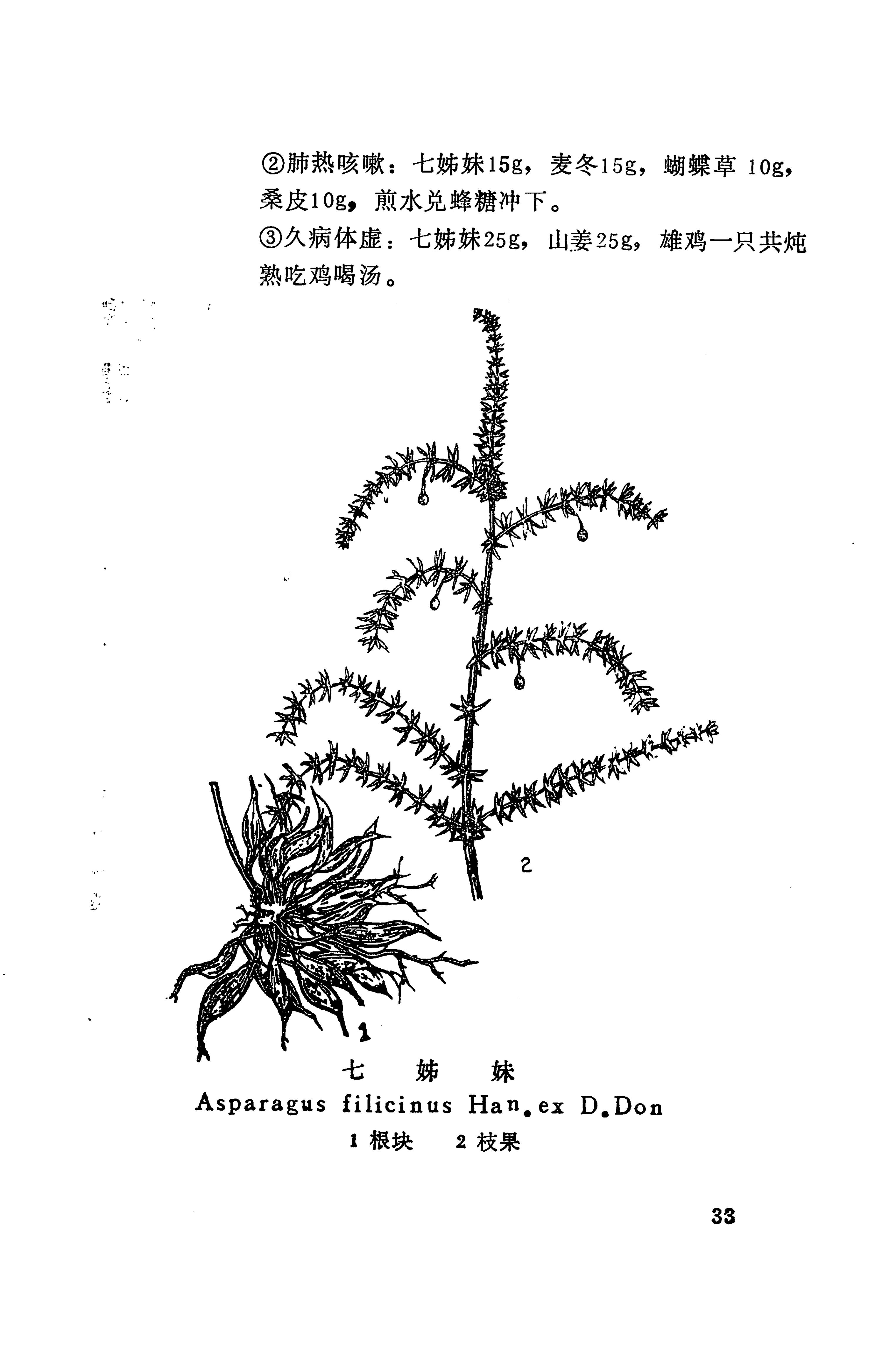 湘西苗药汇编_51.jpg
