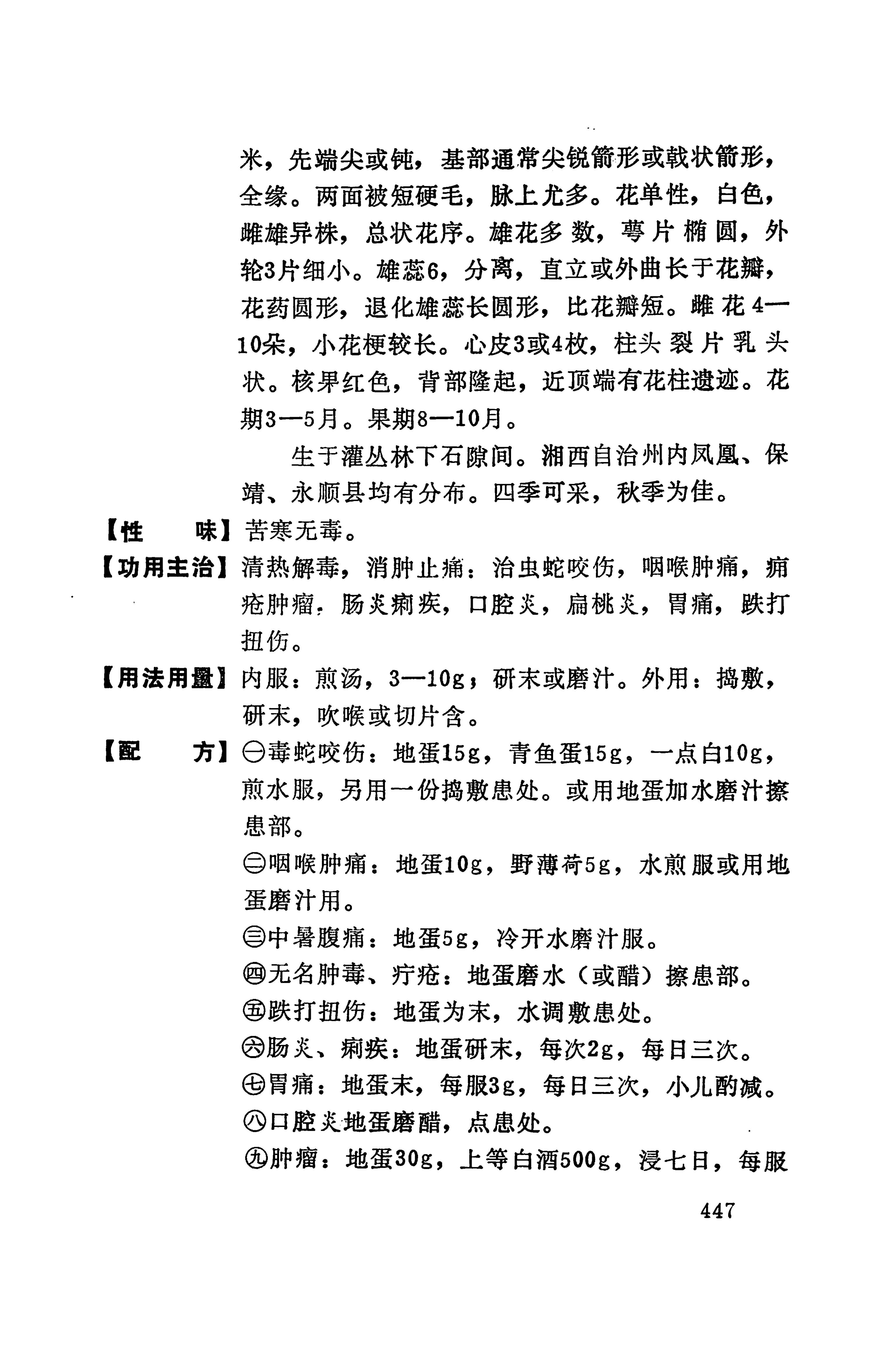 湘西苗药汇编_465.jpg