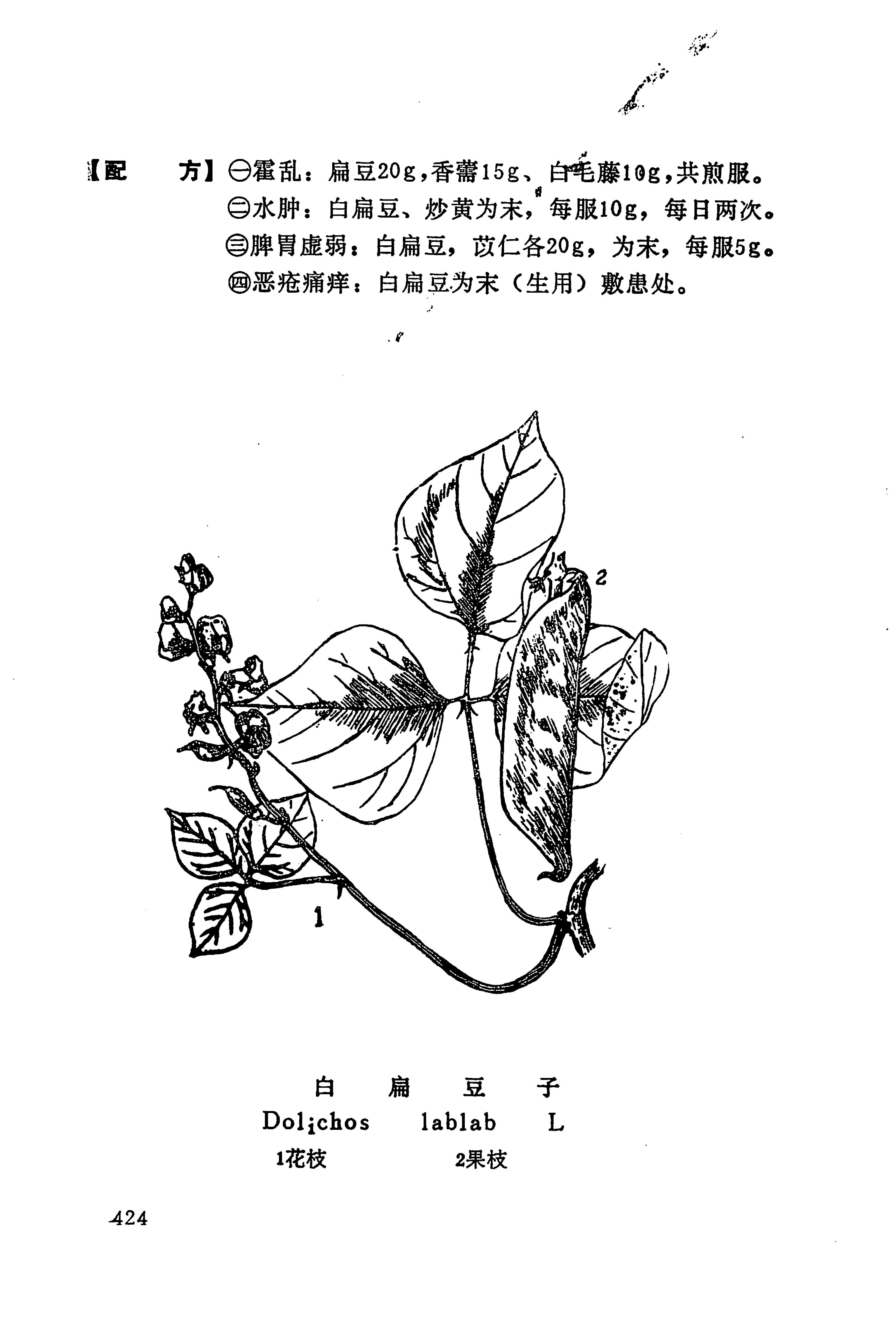 湘西苗药汇编_442.jpg