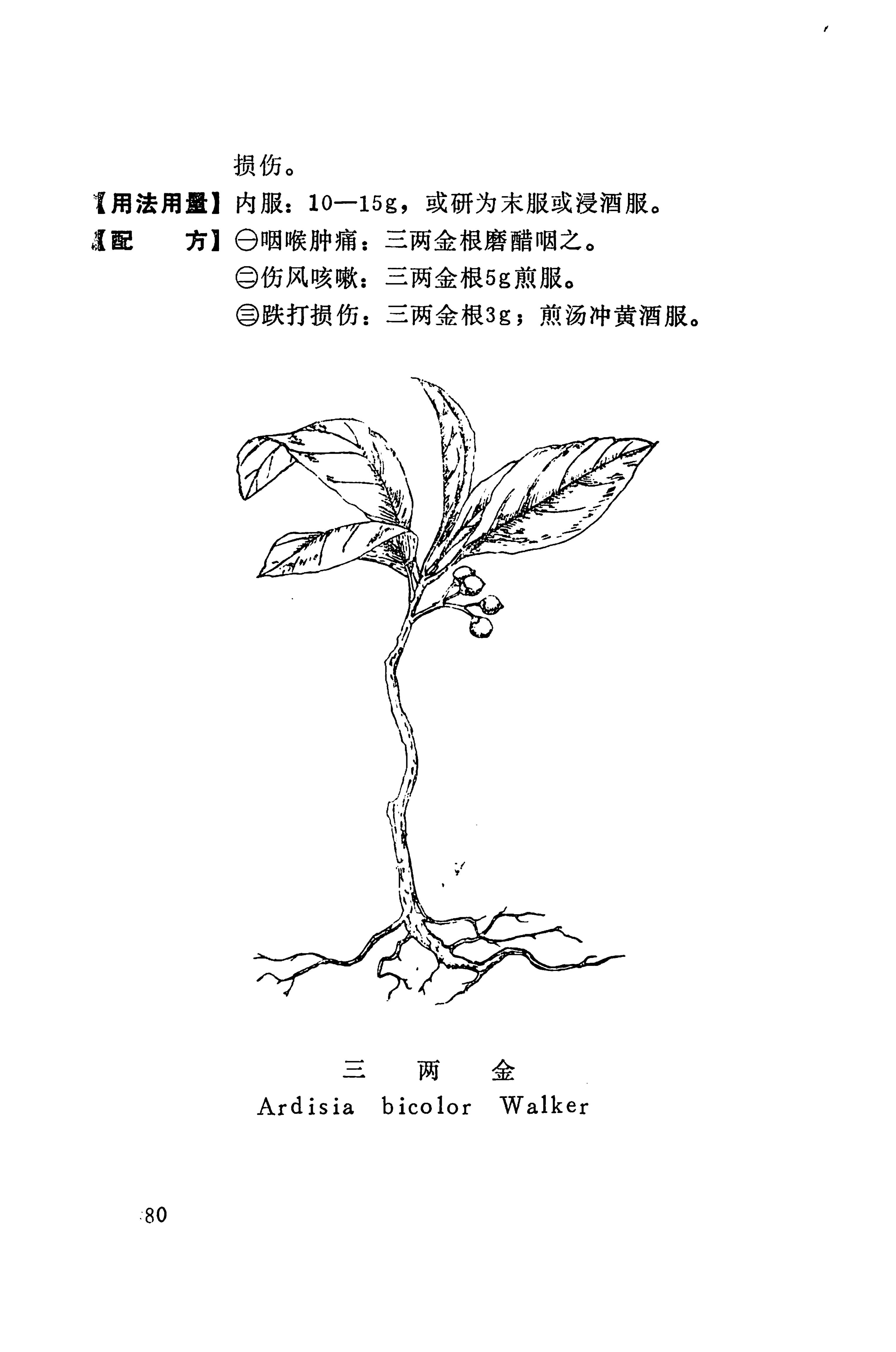 湘西苗药汇编_98.jpg