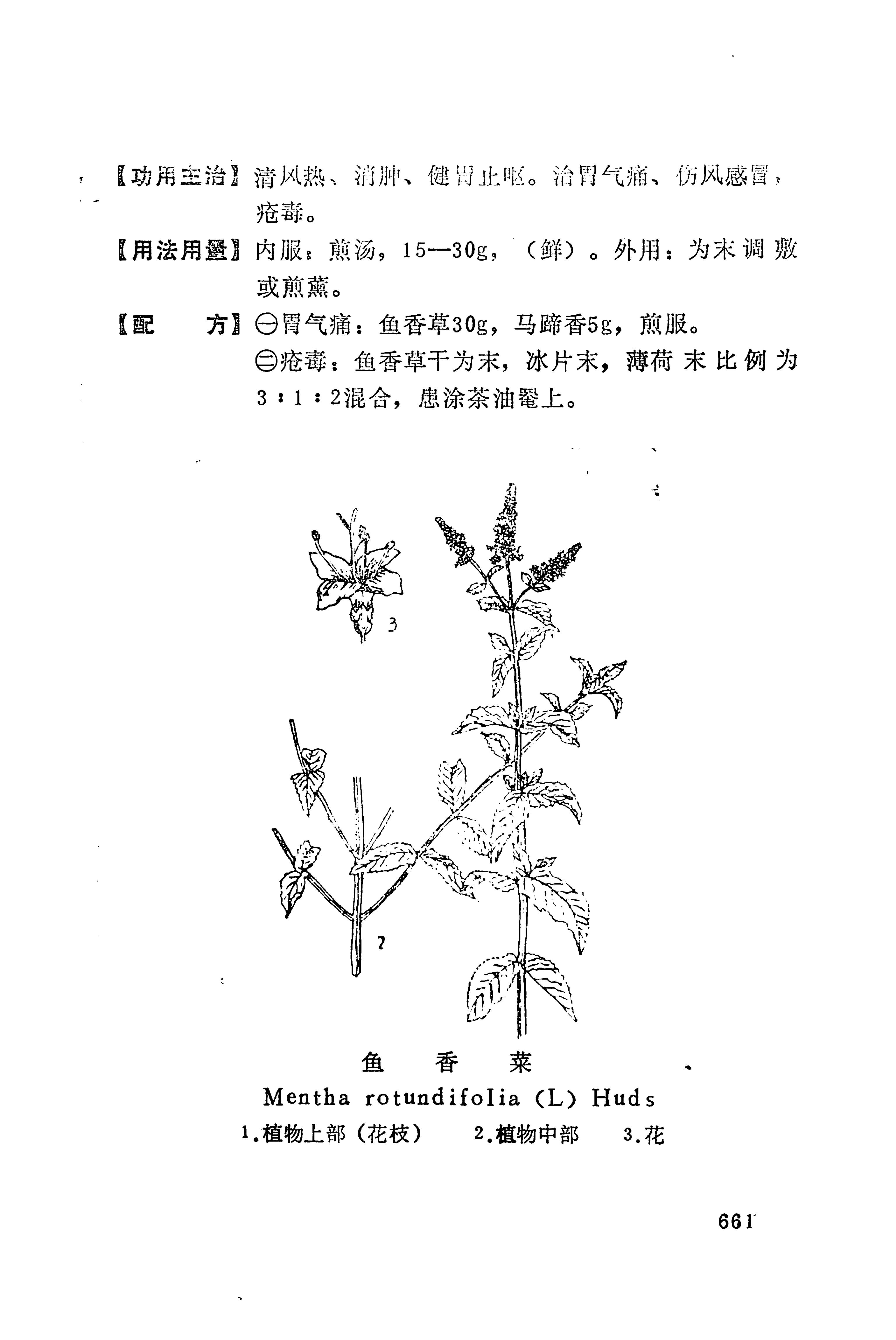 湘西苗药汇编_679.jpg