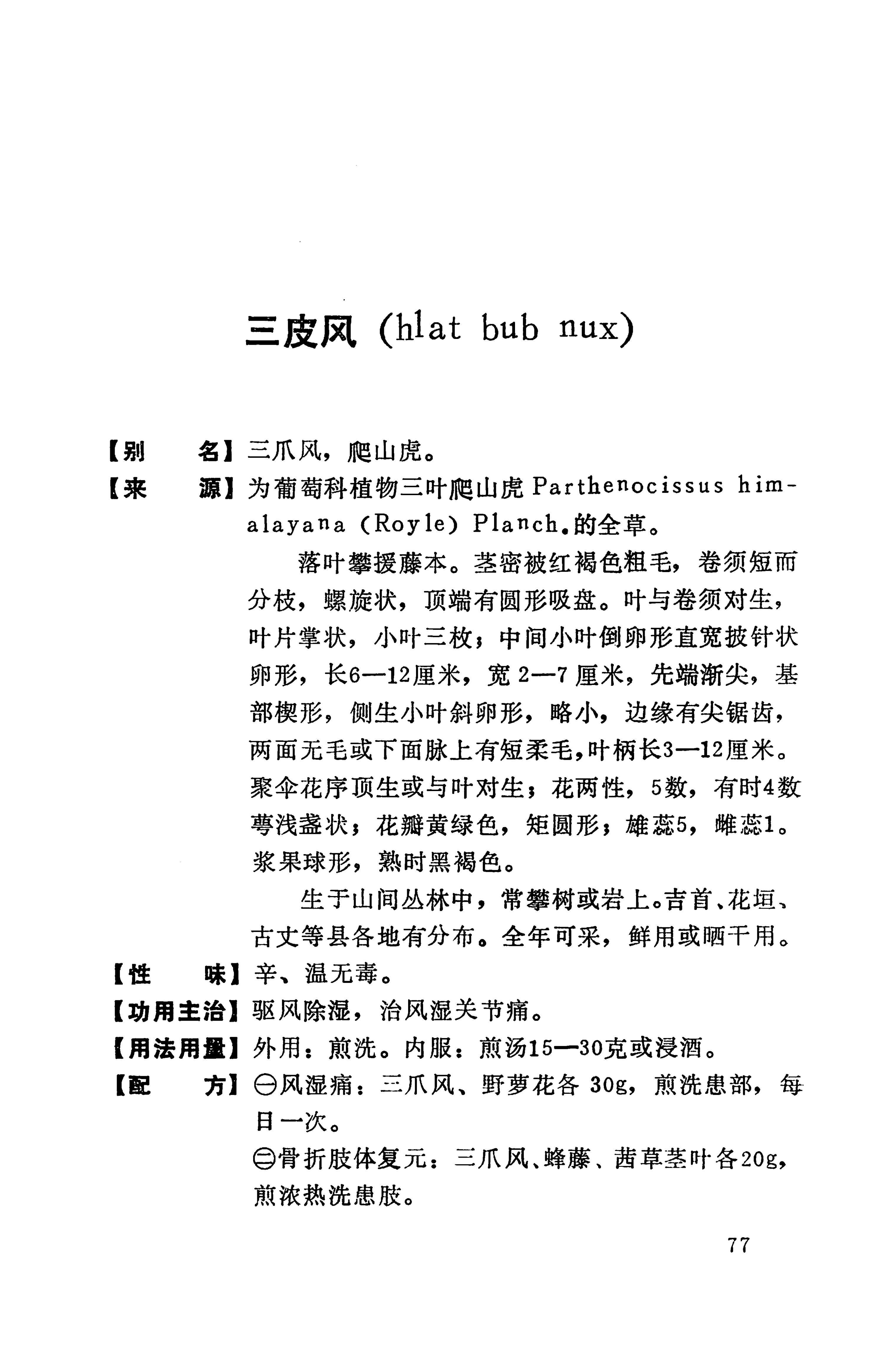 湘西苗药汇编_95.jpg