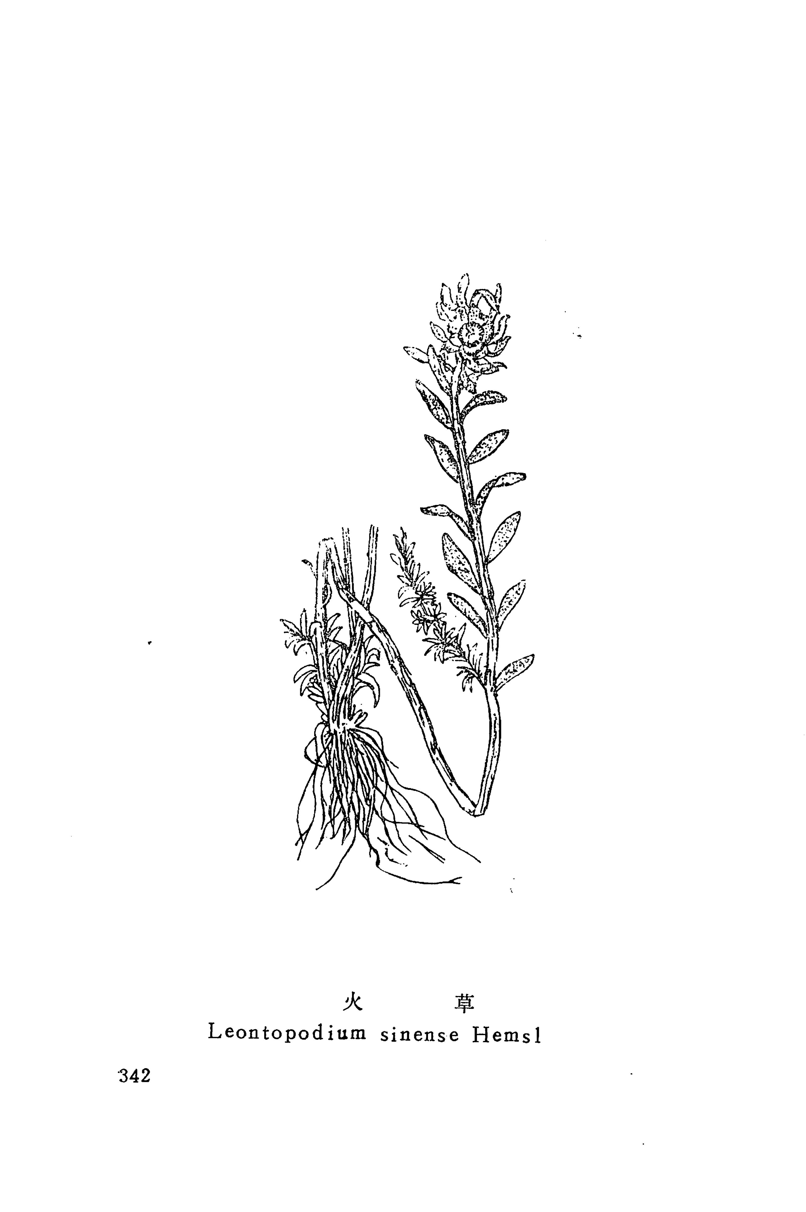 湘西苗药汇编_360.jpg