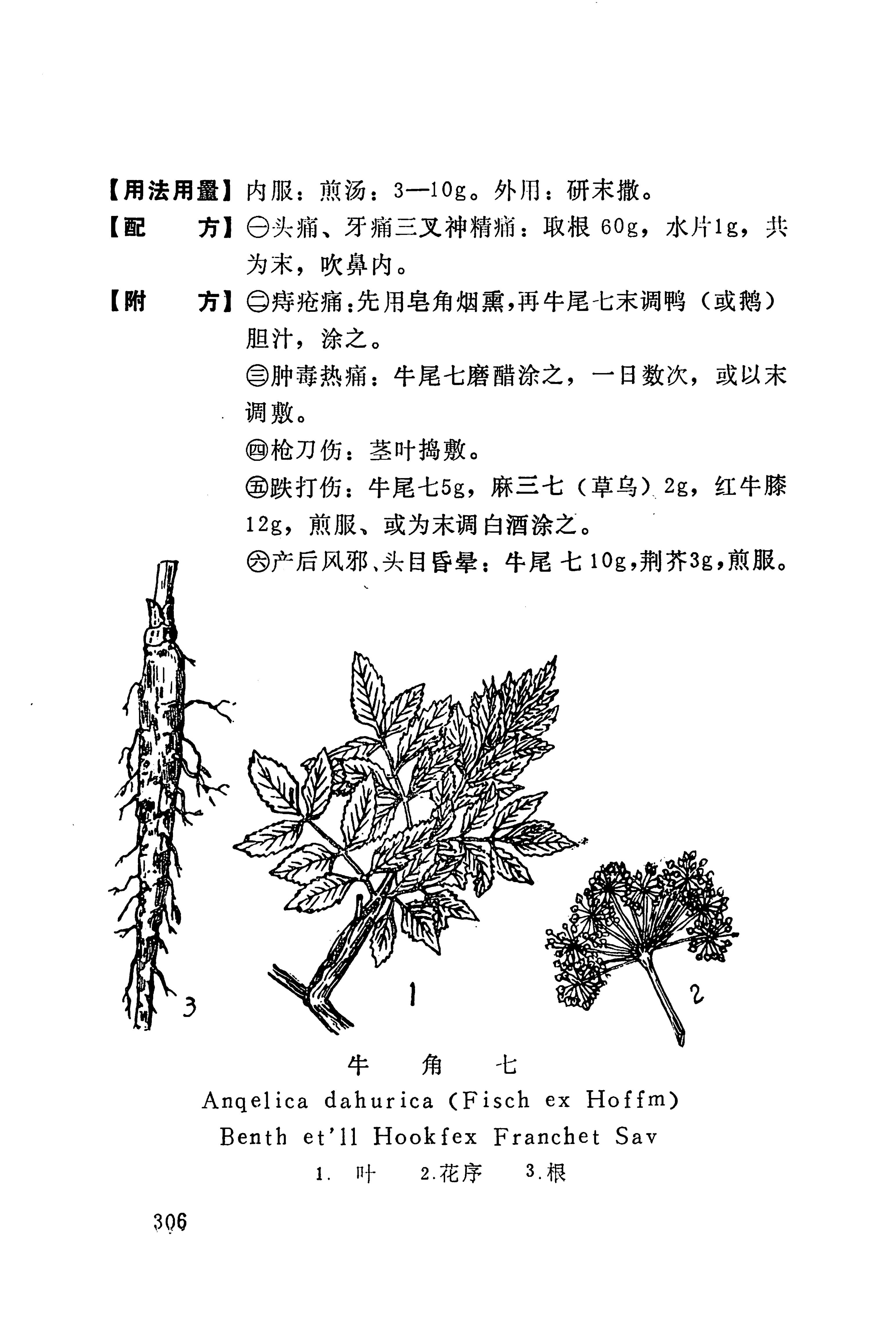 湘西苗药汇编_205.jpg