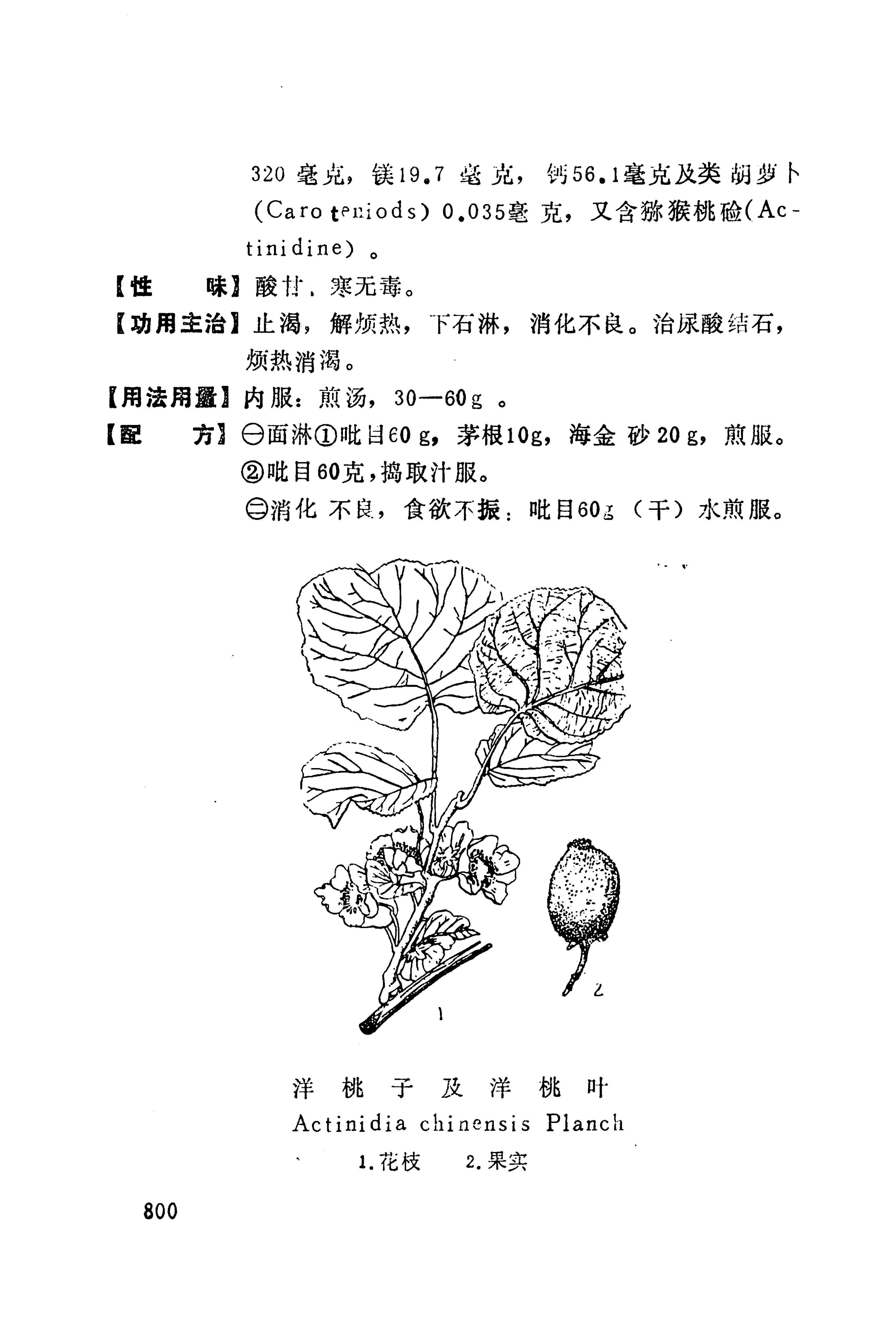 湘西苗药汇编_818.jpg