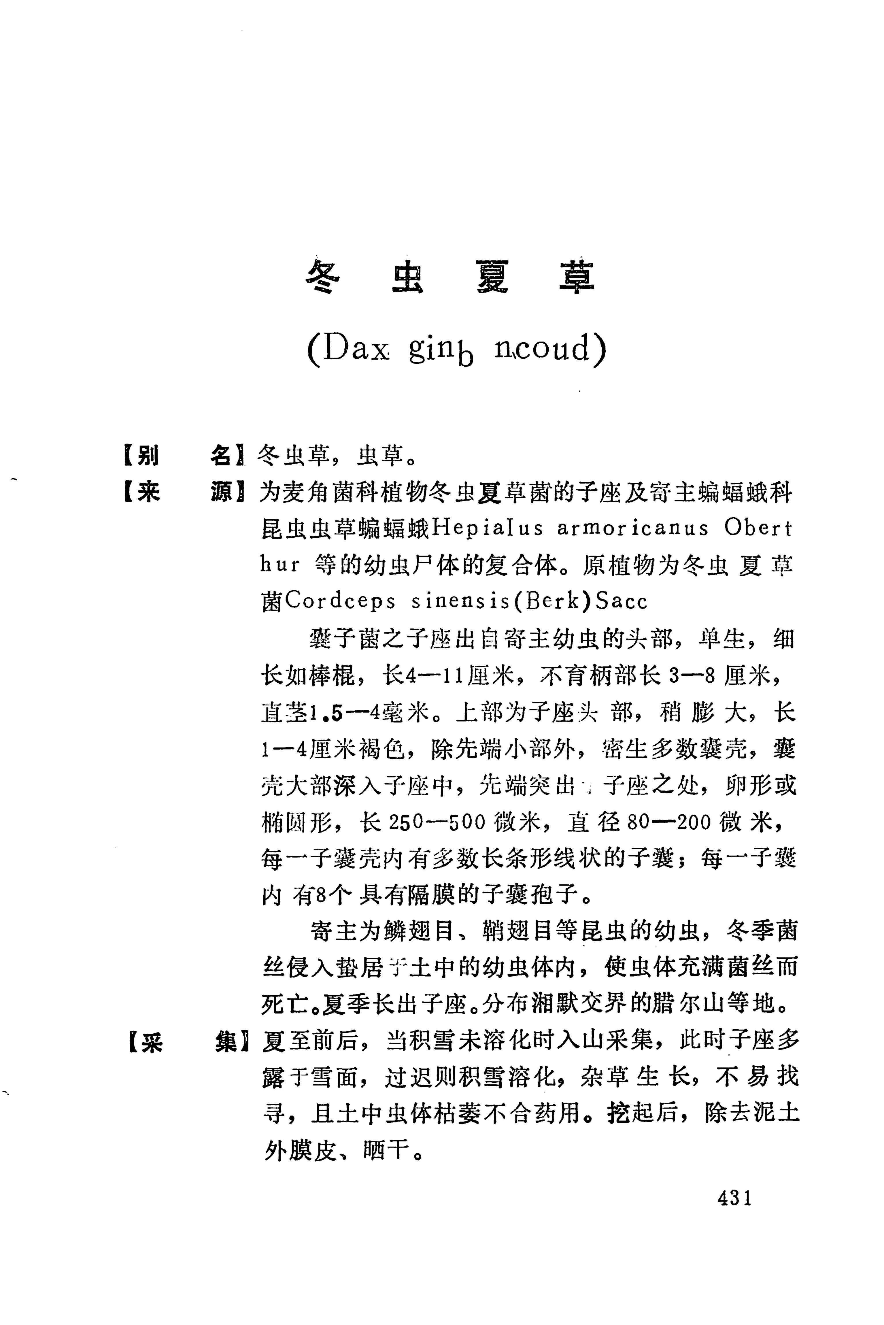 湘西苗药汇编_449.jpg