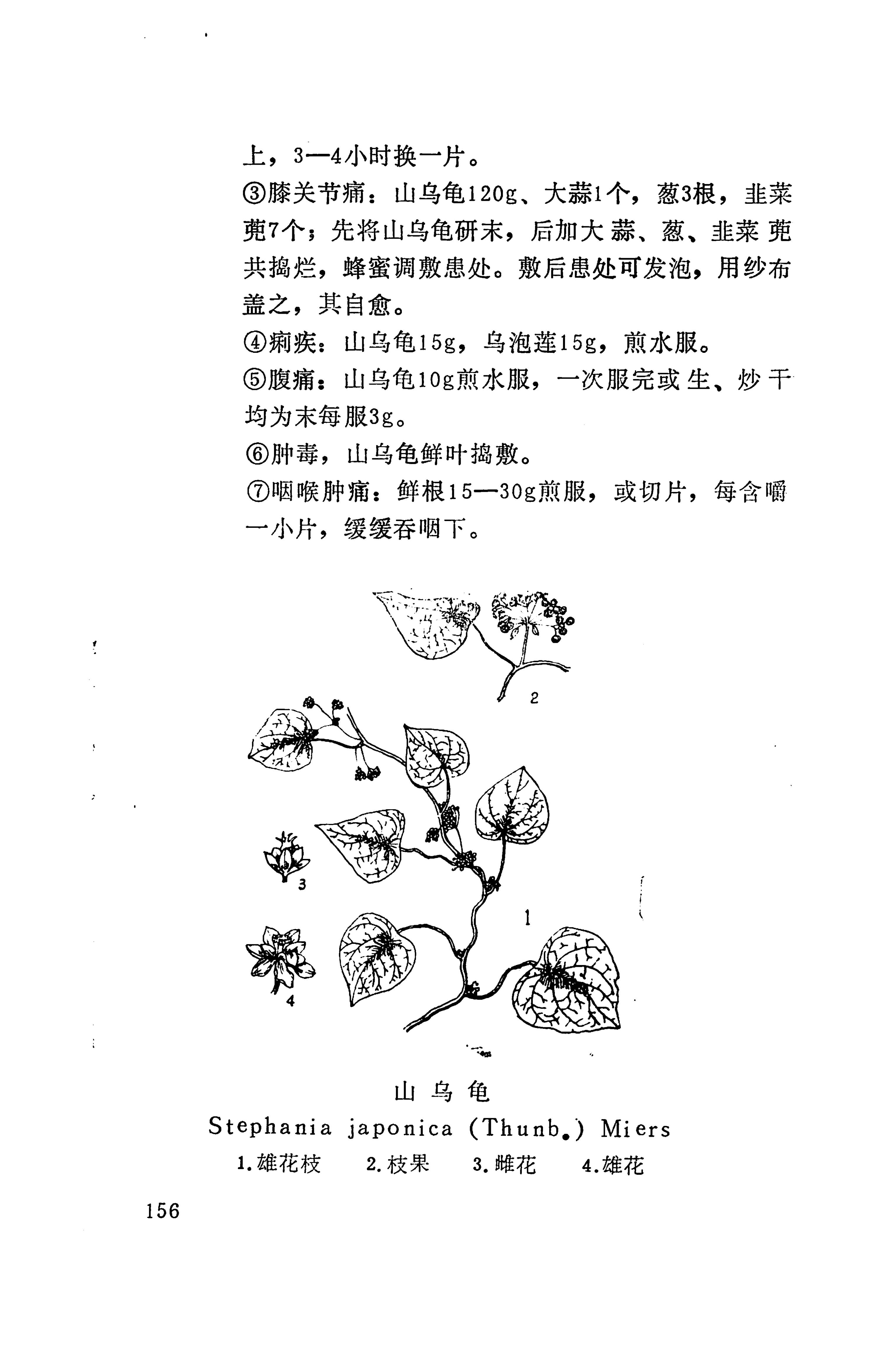 湘西苗药汇编_174.jpg