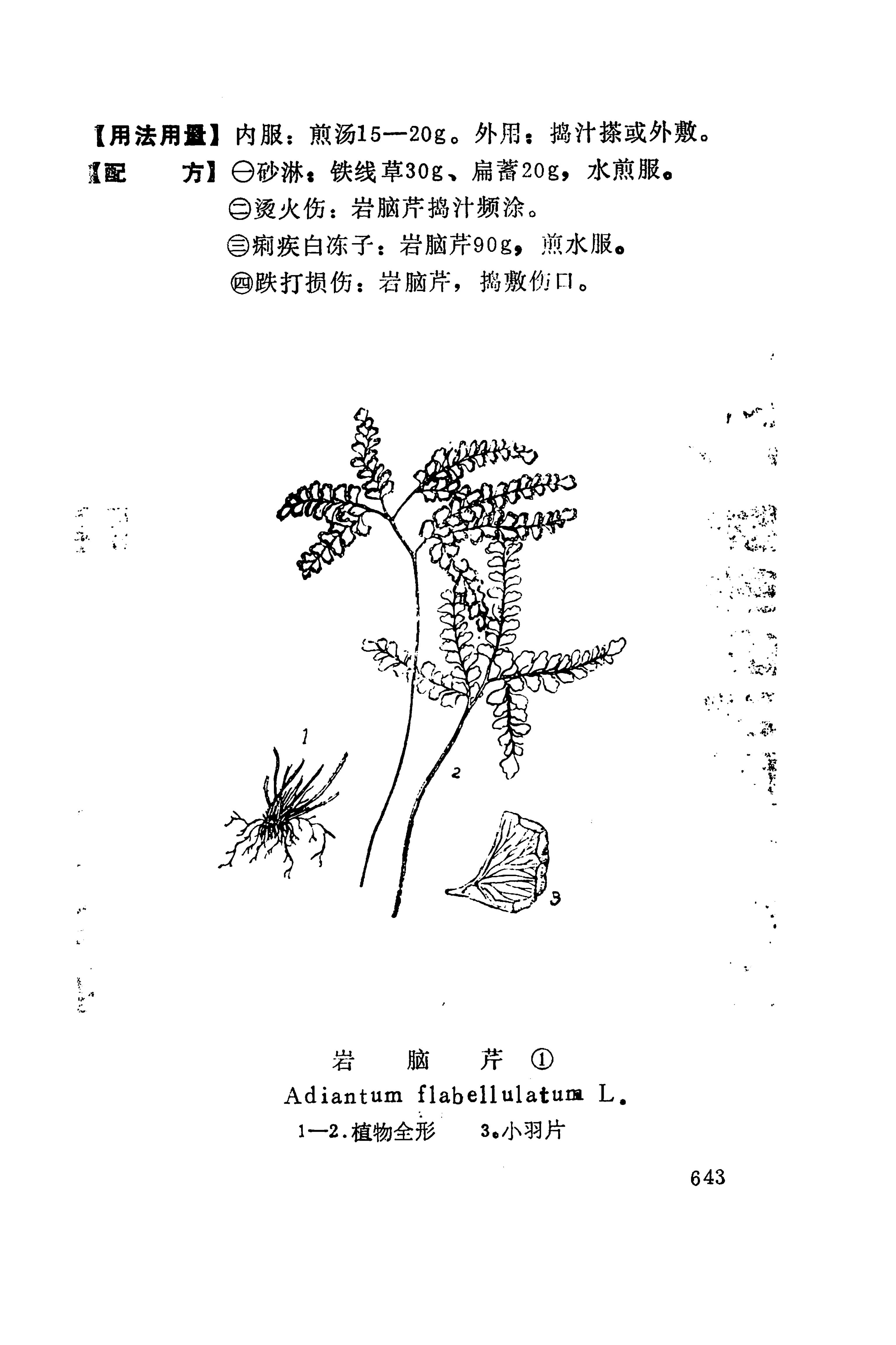 湘西苗药汇编_661.jpg