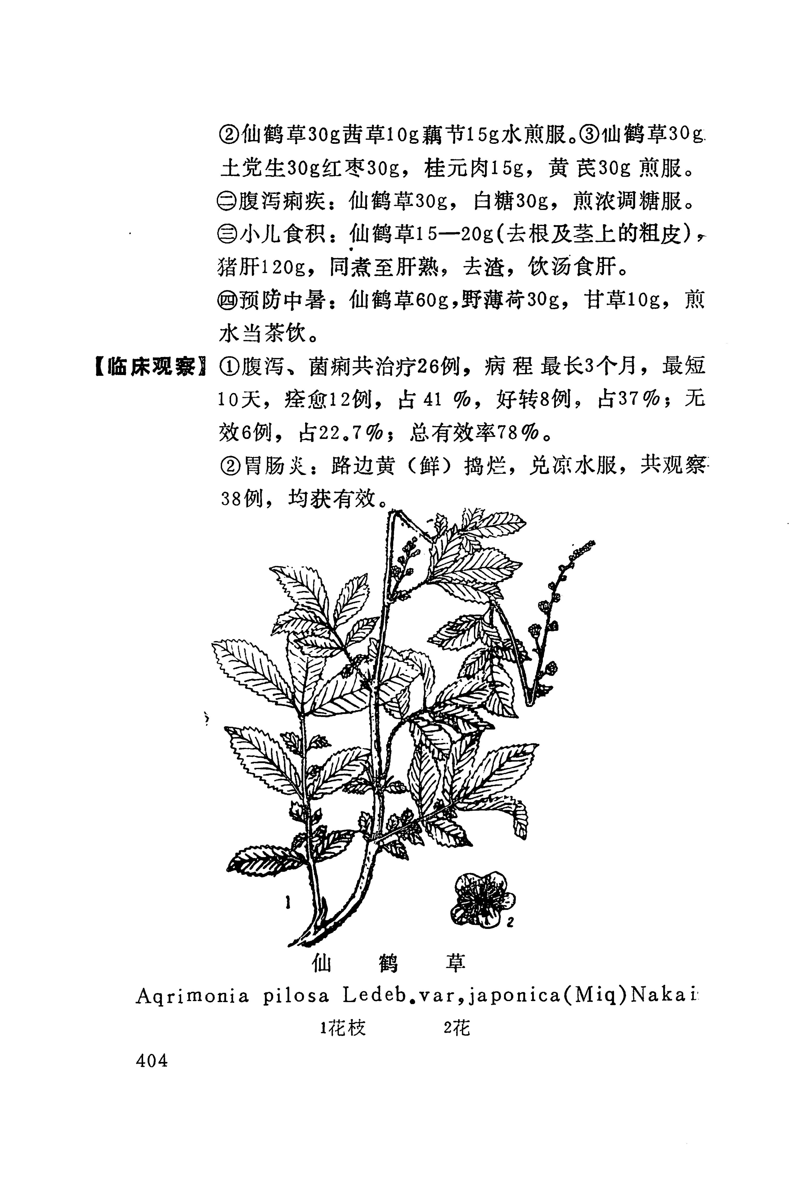 湘西苗药汇编_422.jpg