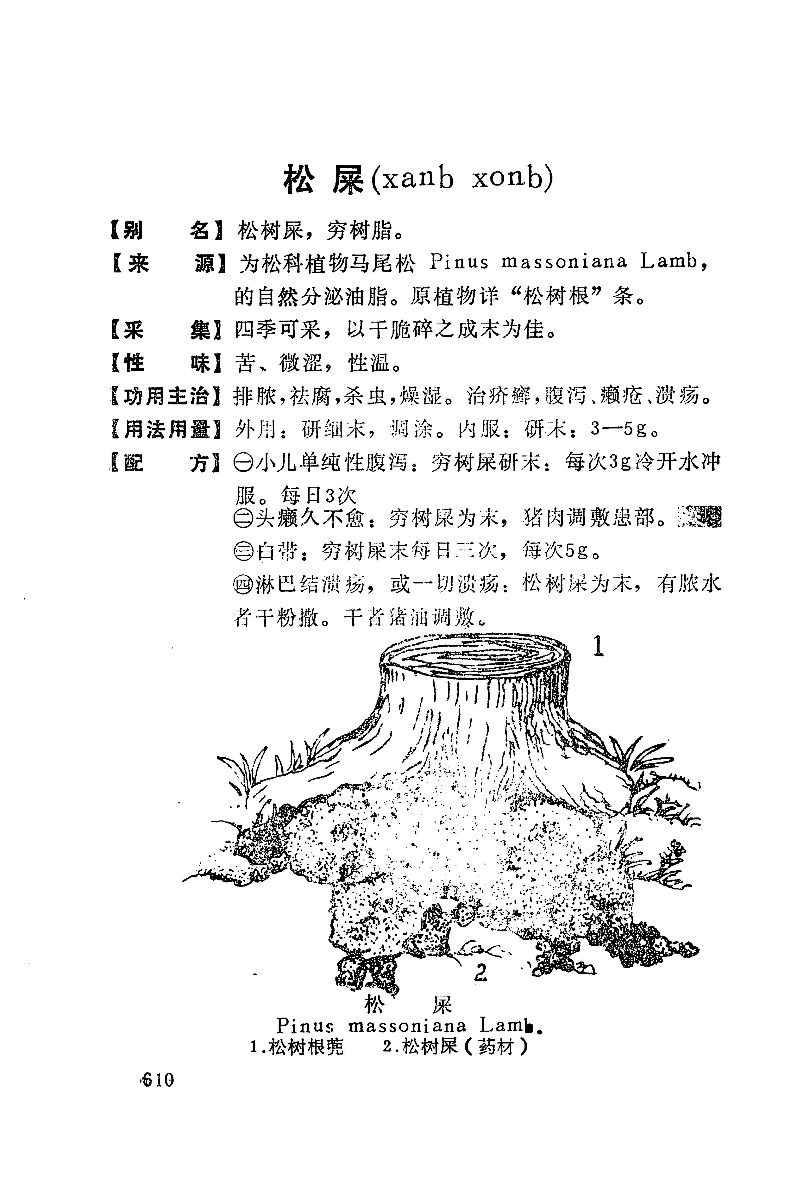 湘西苗药汇编_628.jpg