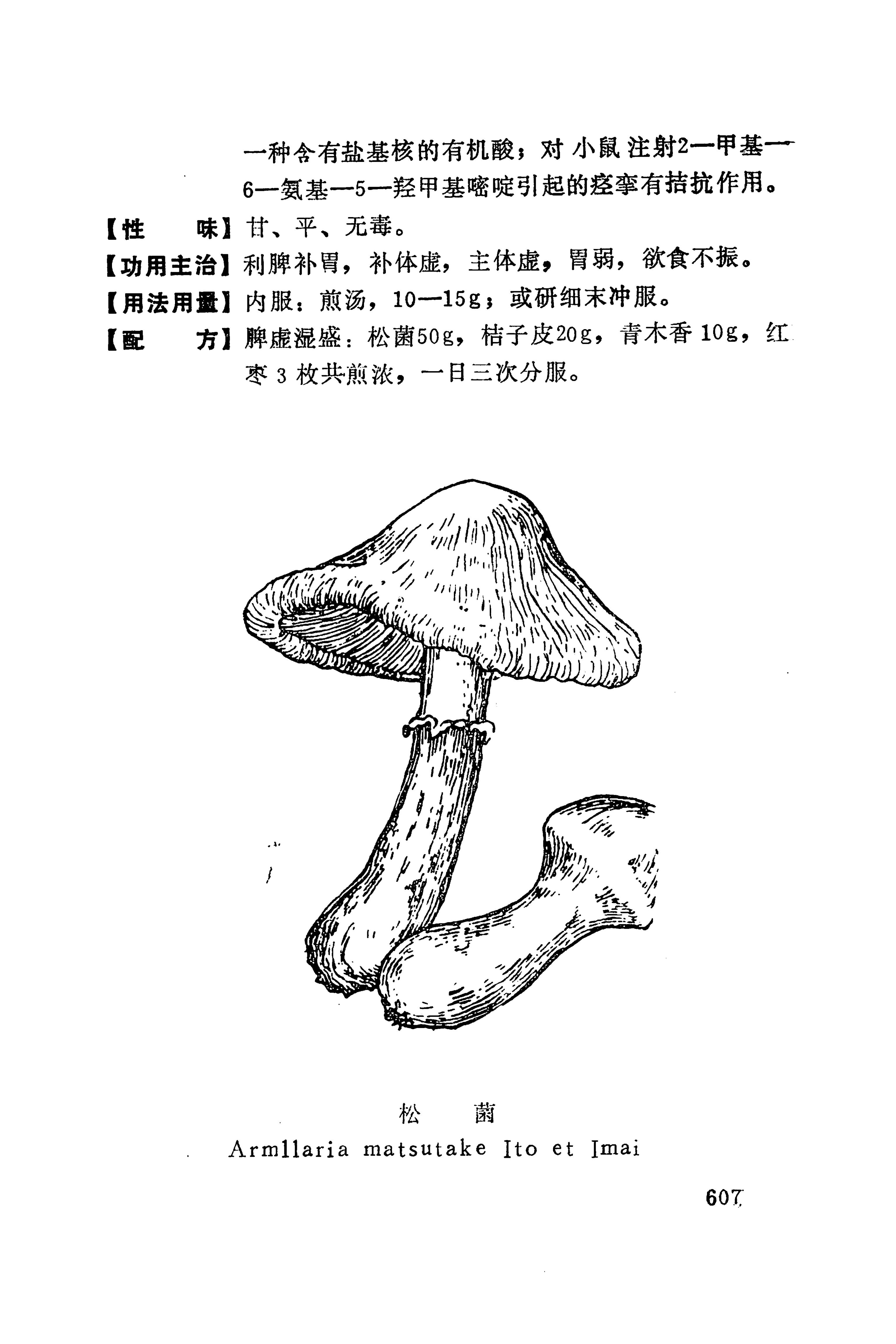 湘西苗药汇编_625.jpg