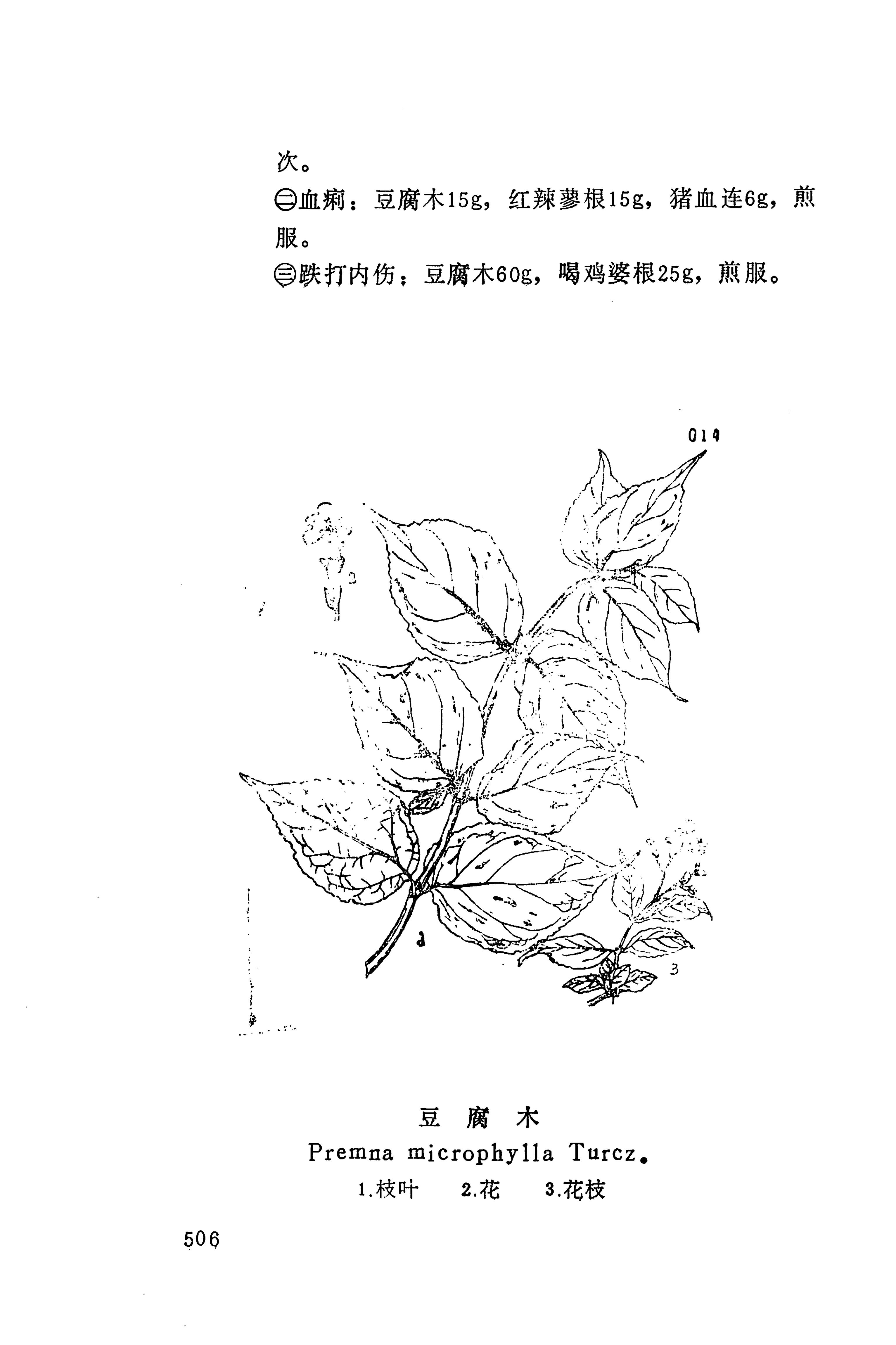 湘西苗药汇编_524.jpg