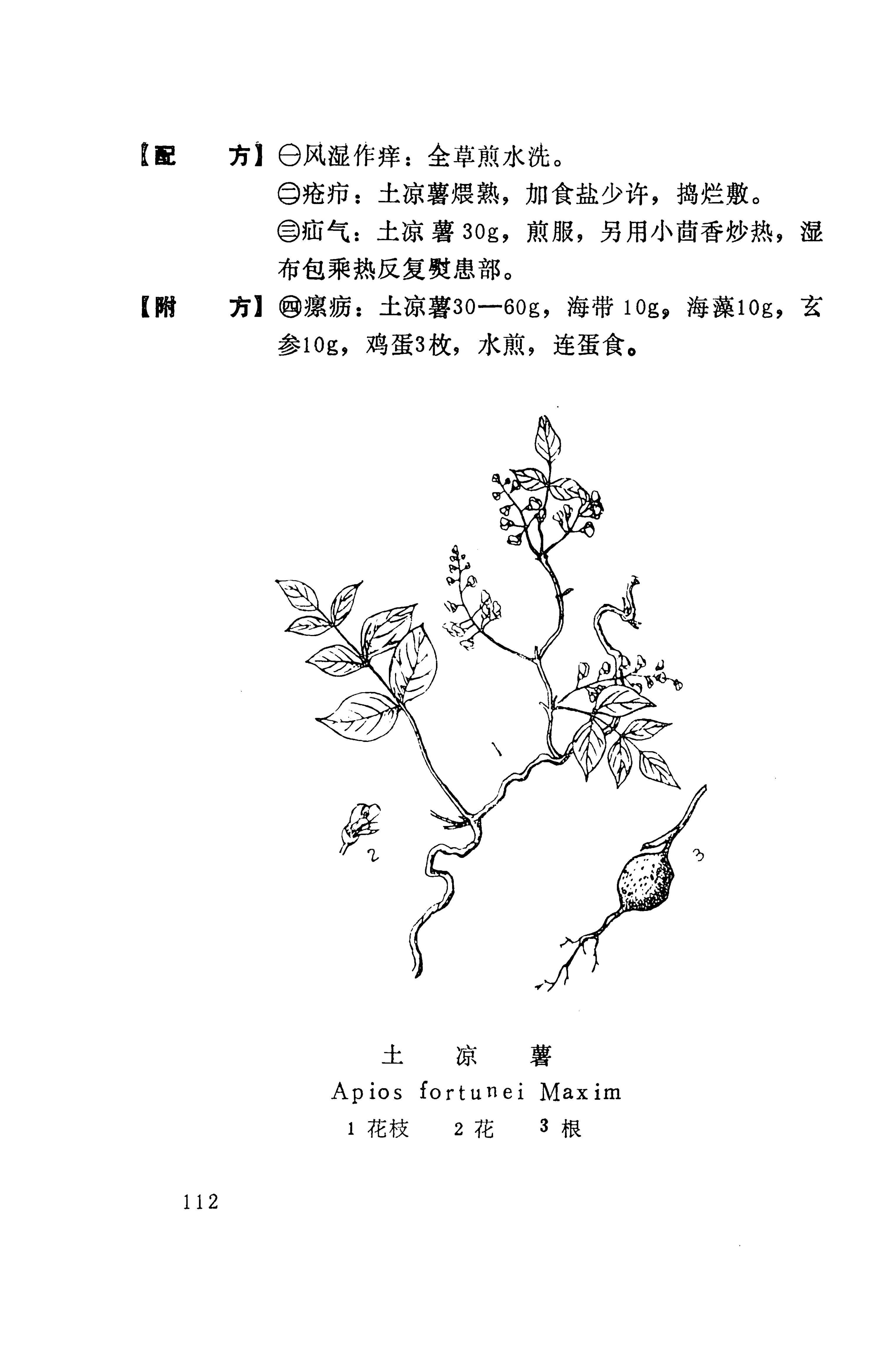 湘西苗药汇编_130.jpg