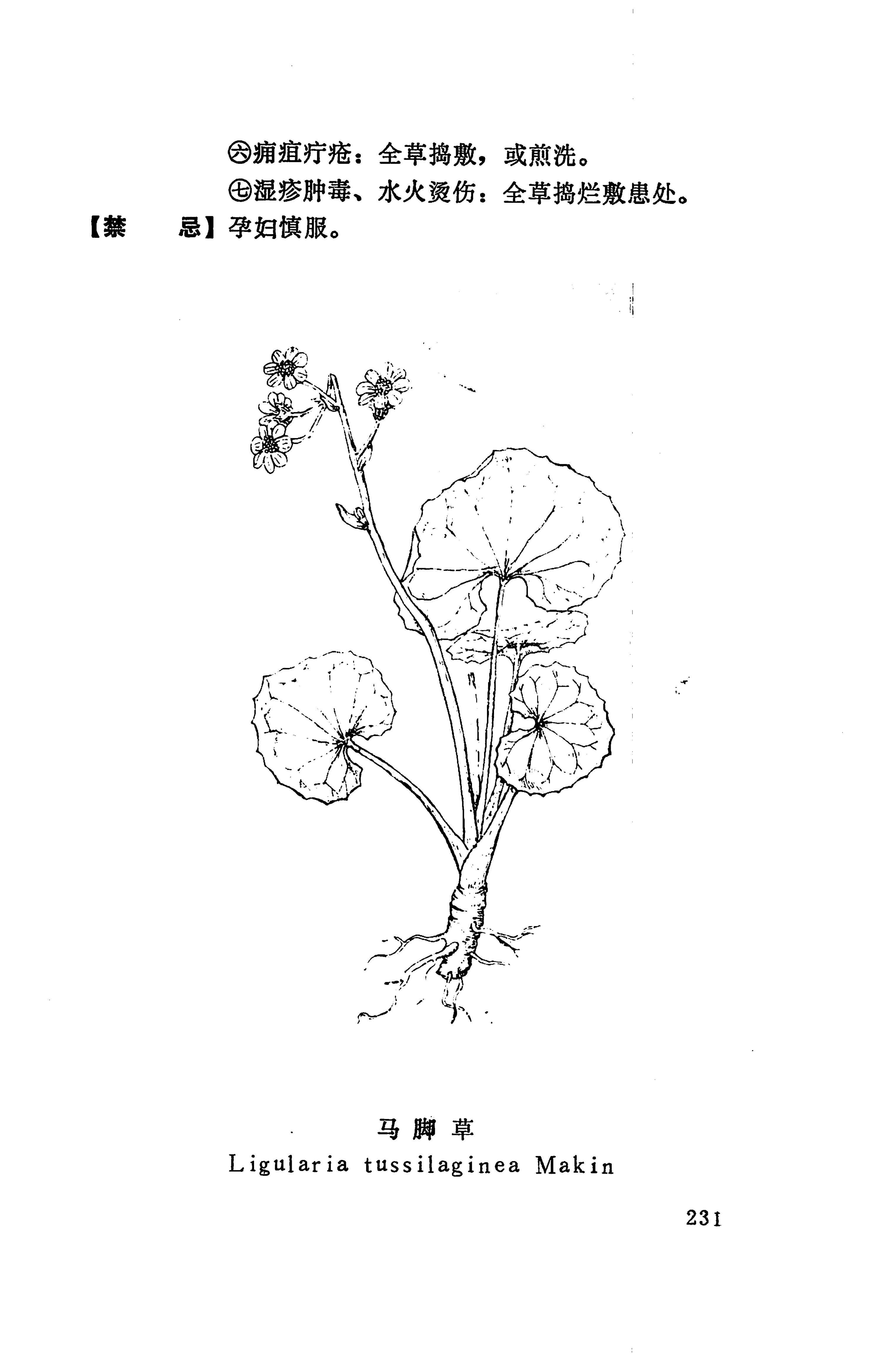 湘西苗药汇编_280.jpg