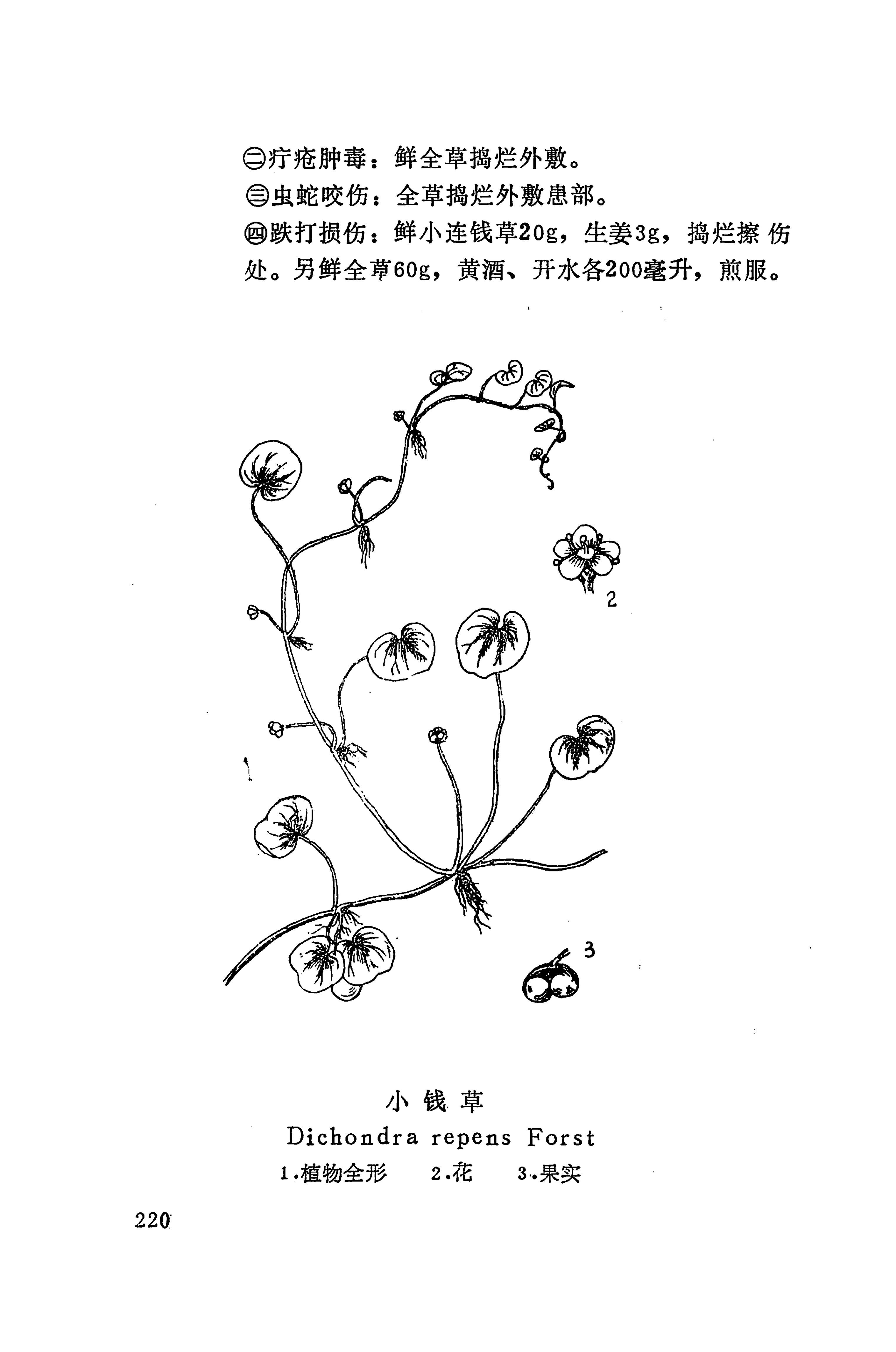 湘西苗药汇编_291.jpg