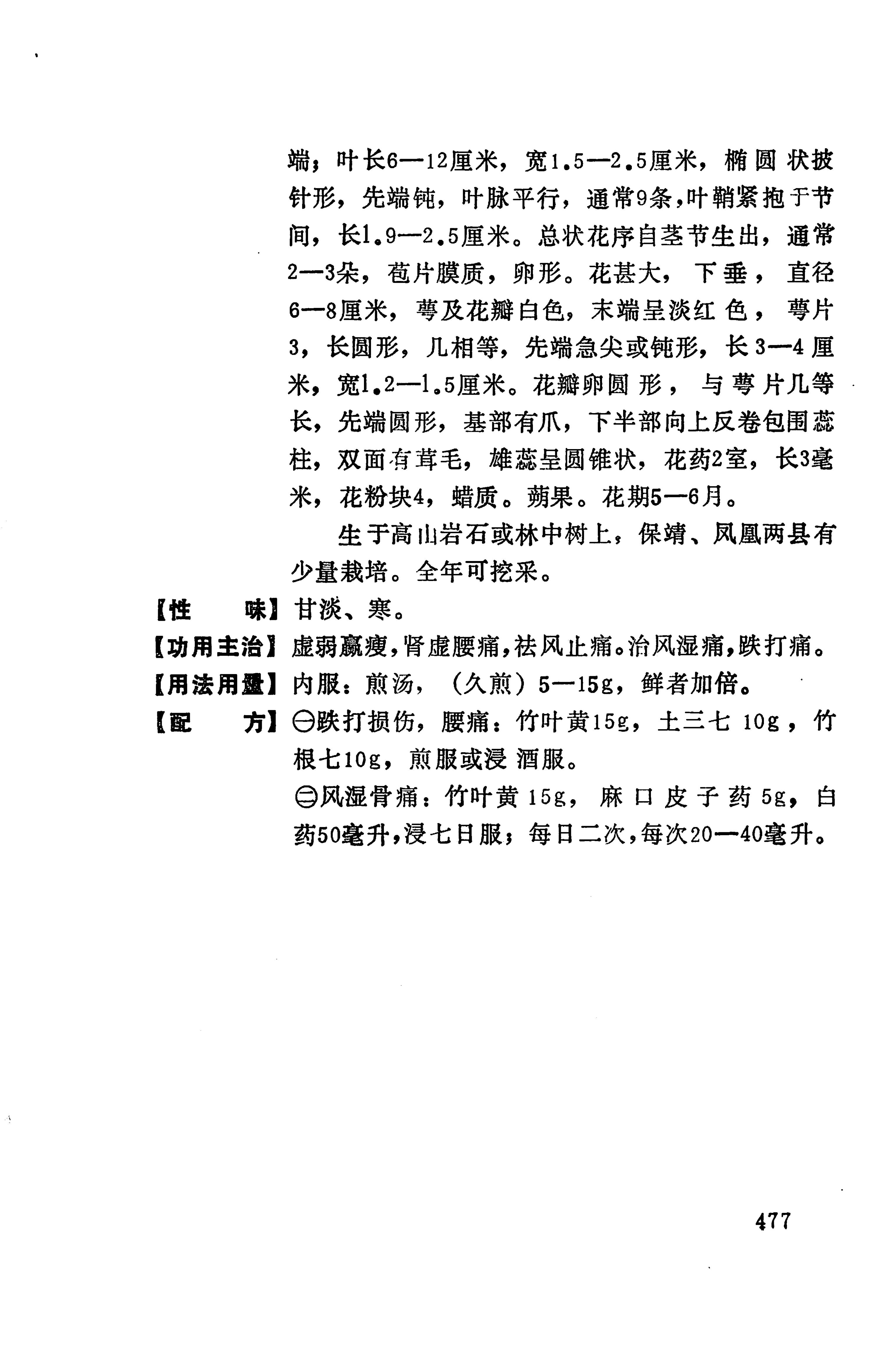 湘西苗药汇编_495.jpg
