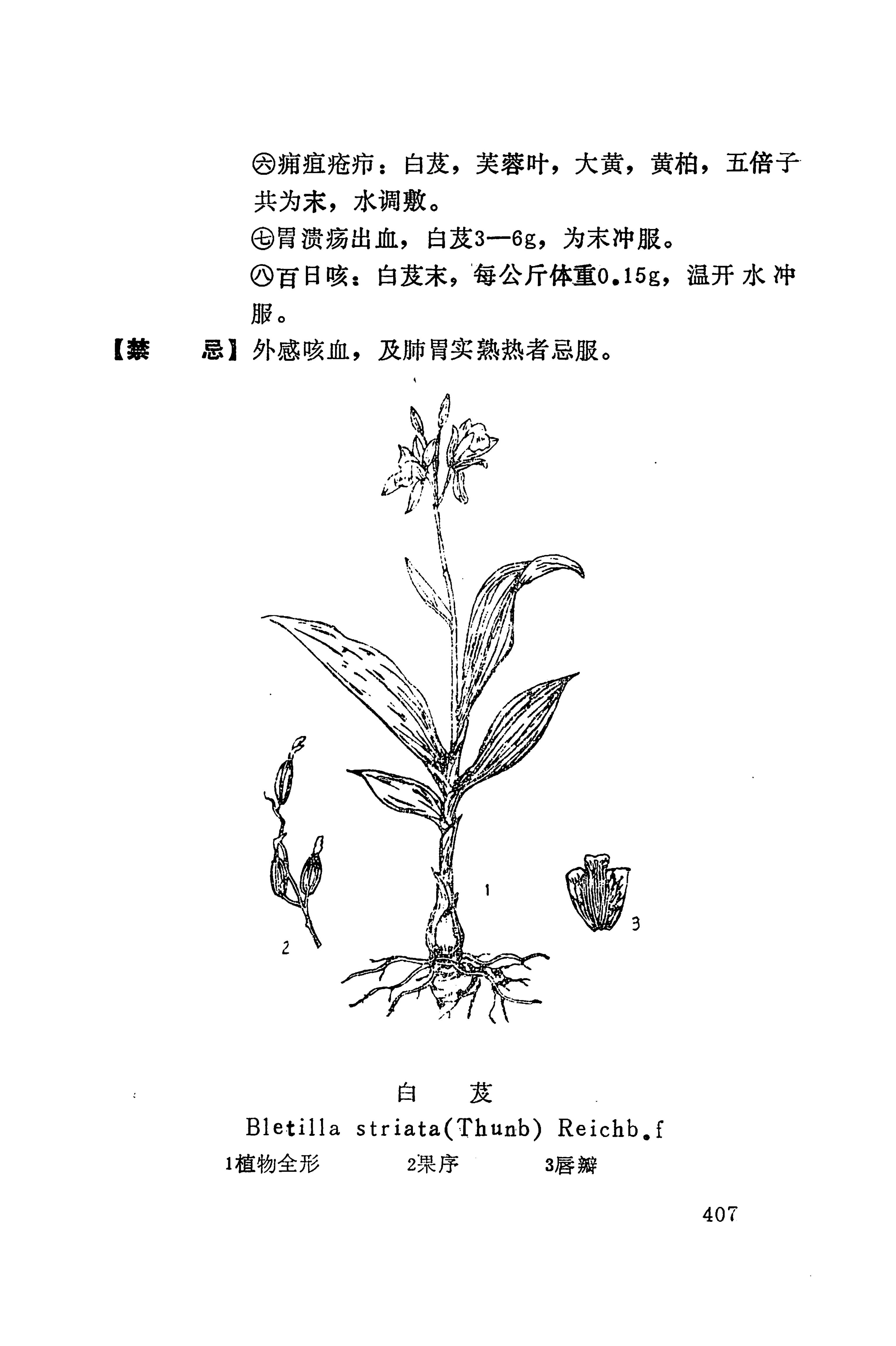 湘西苗药汇编_425.jpg