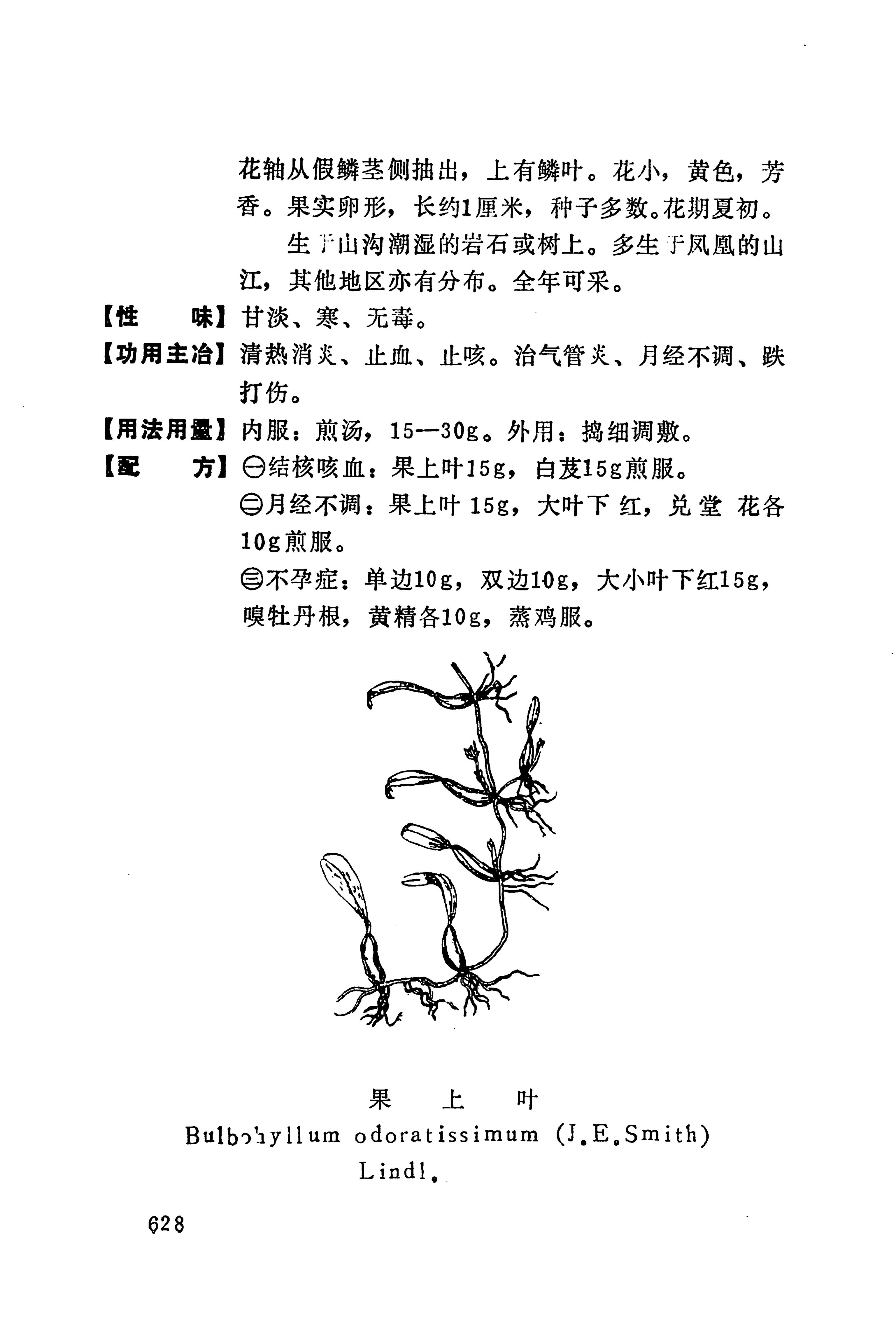 湘西苗药汇编_646.jpg