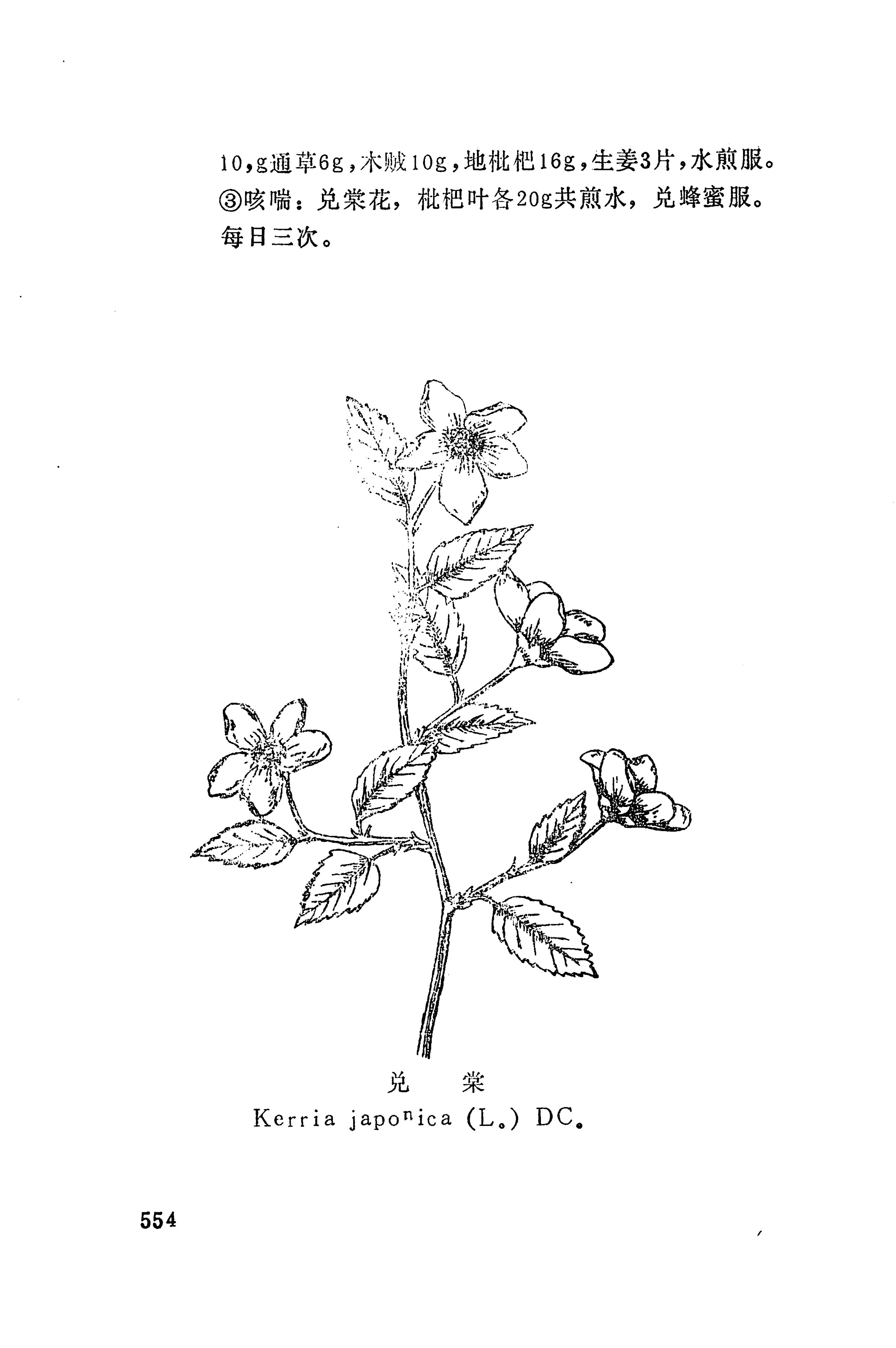 湘西苗药汇编_572.jpg