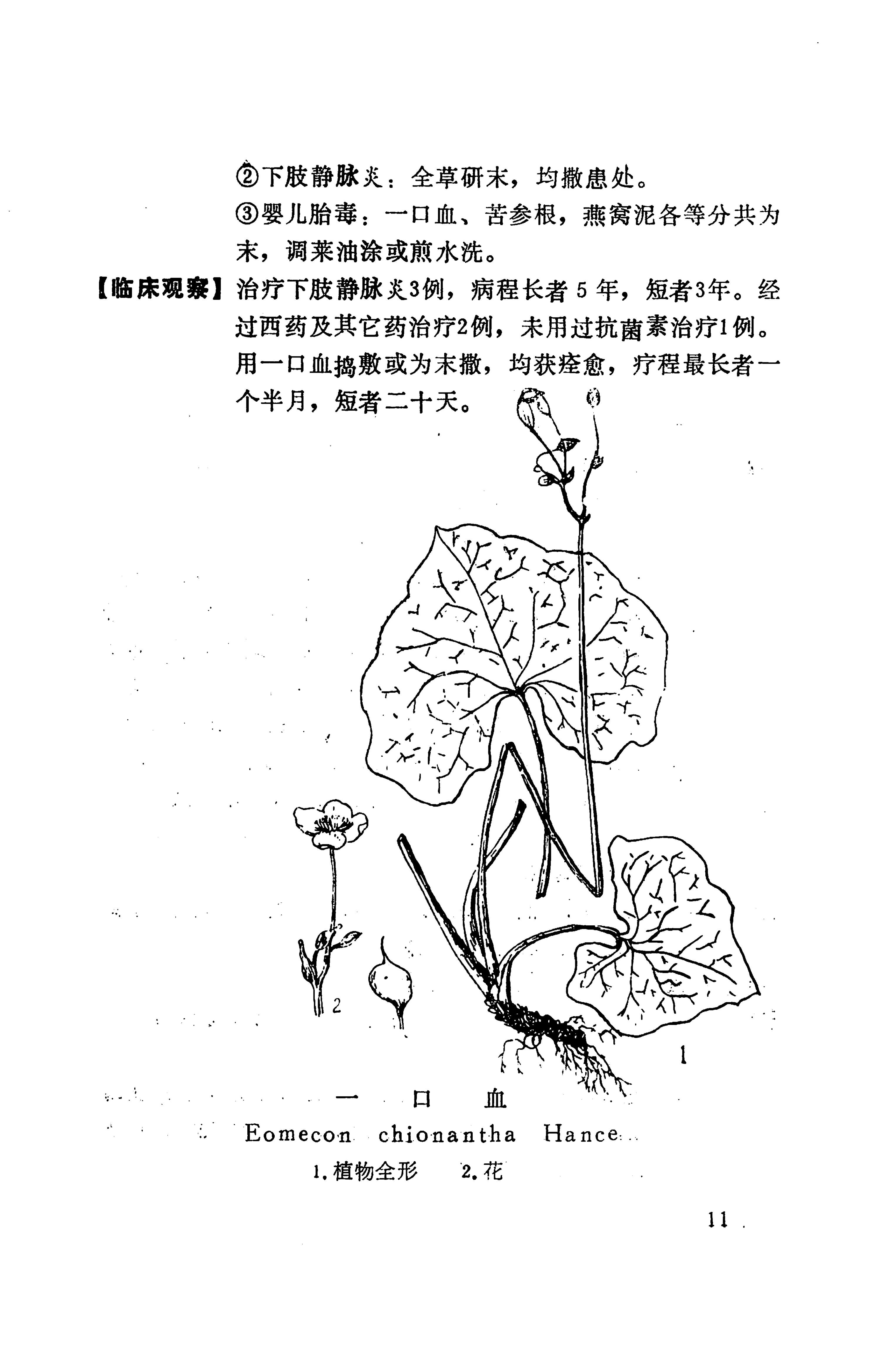 湘西苗药汇编_29.jpg