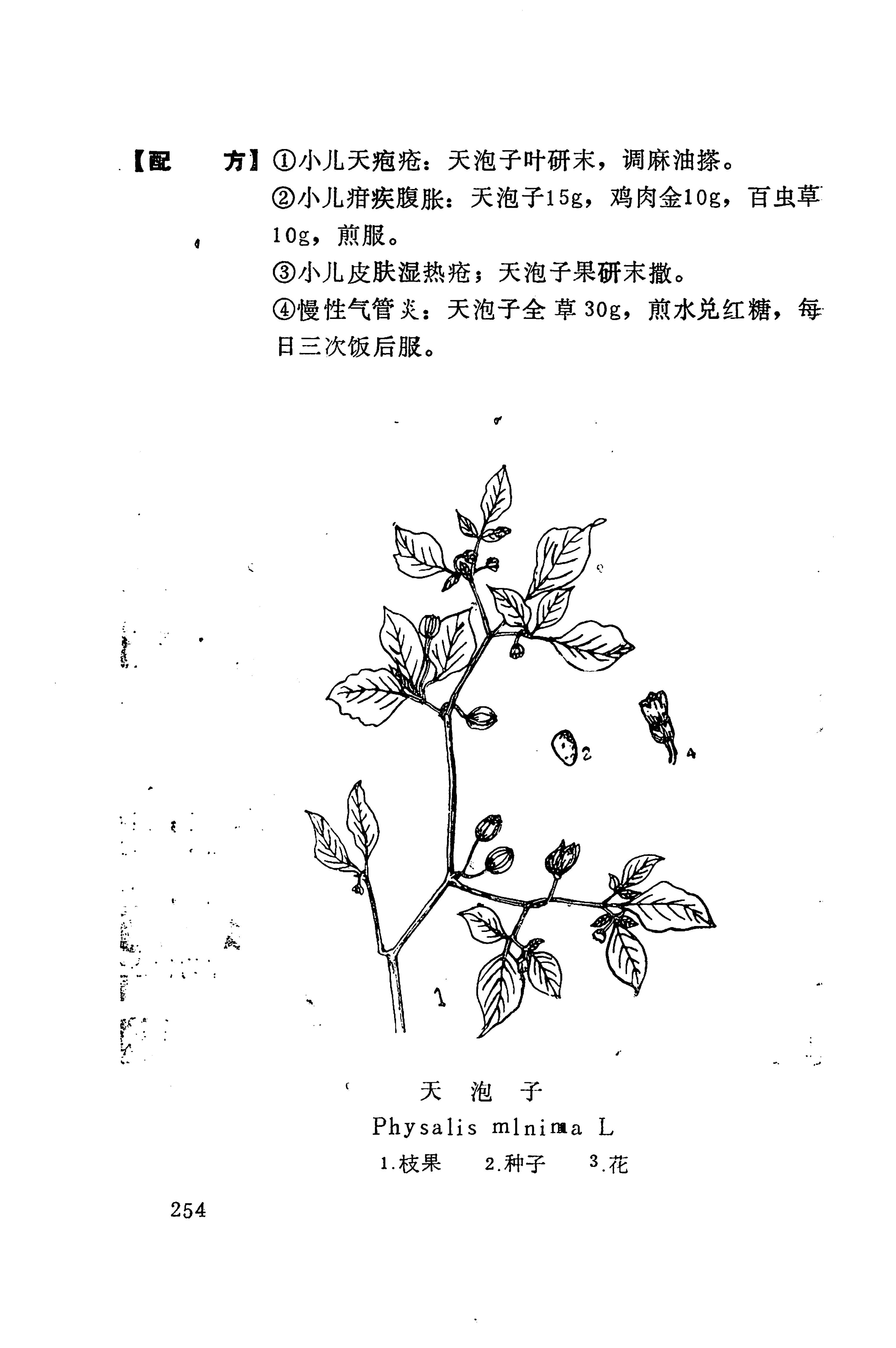 湘西苗药汇编_257.jpg