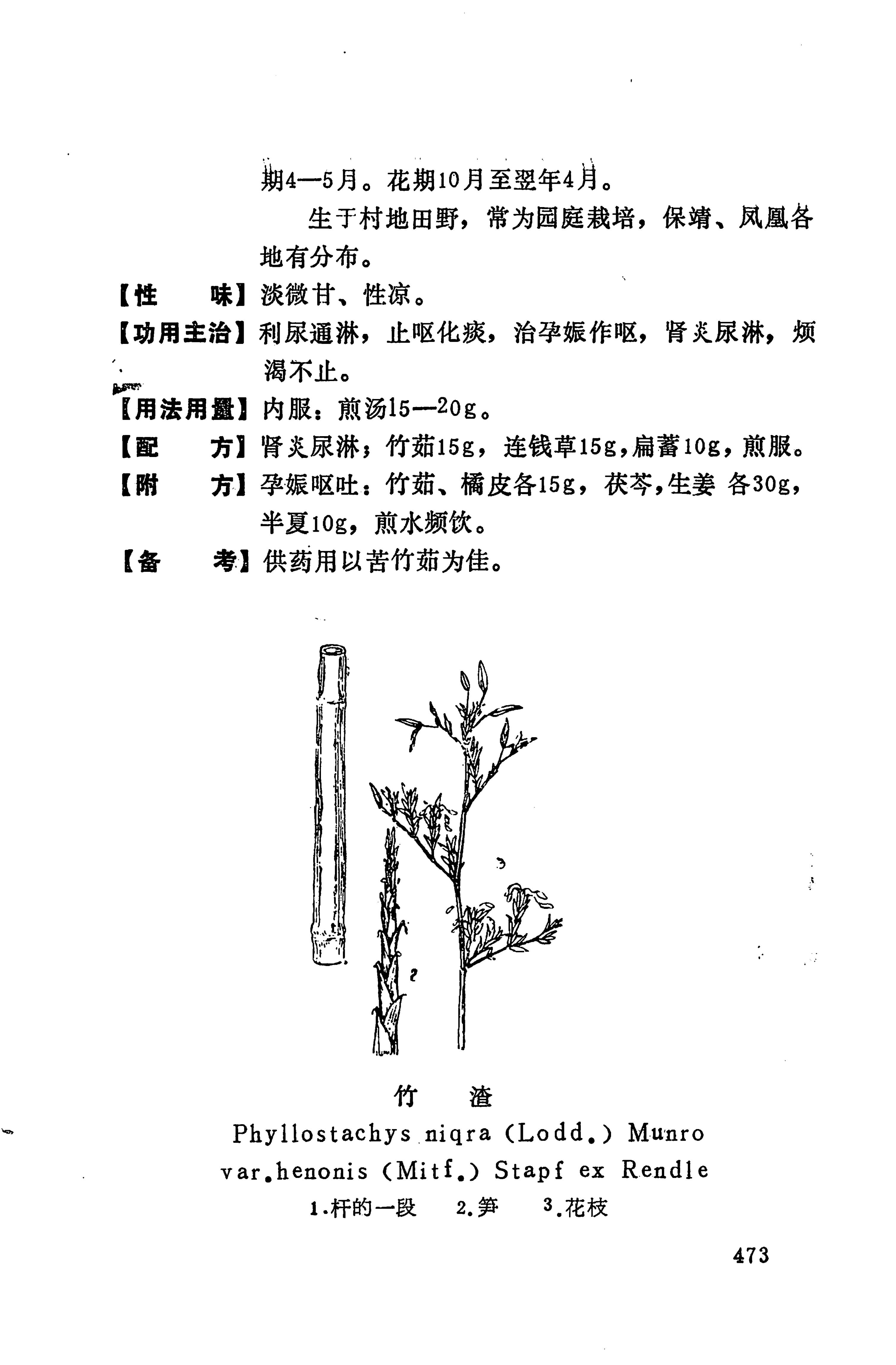 湘西苗药汇编_491.jpg