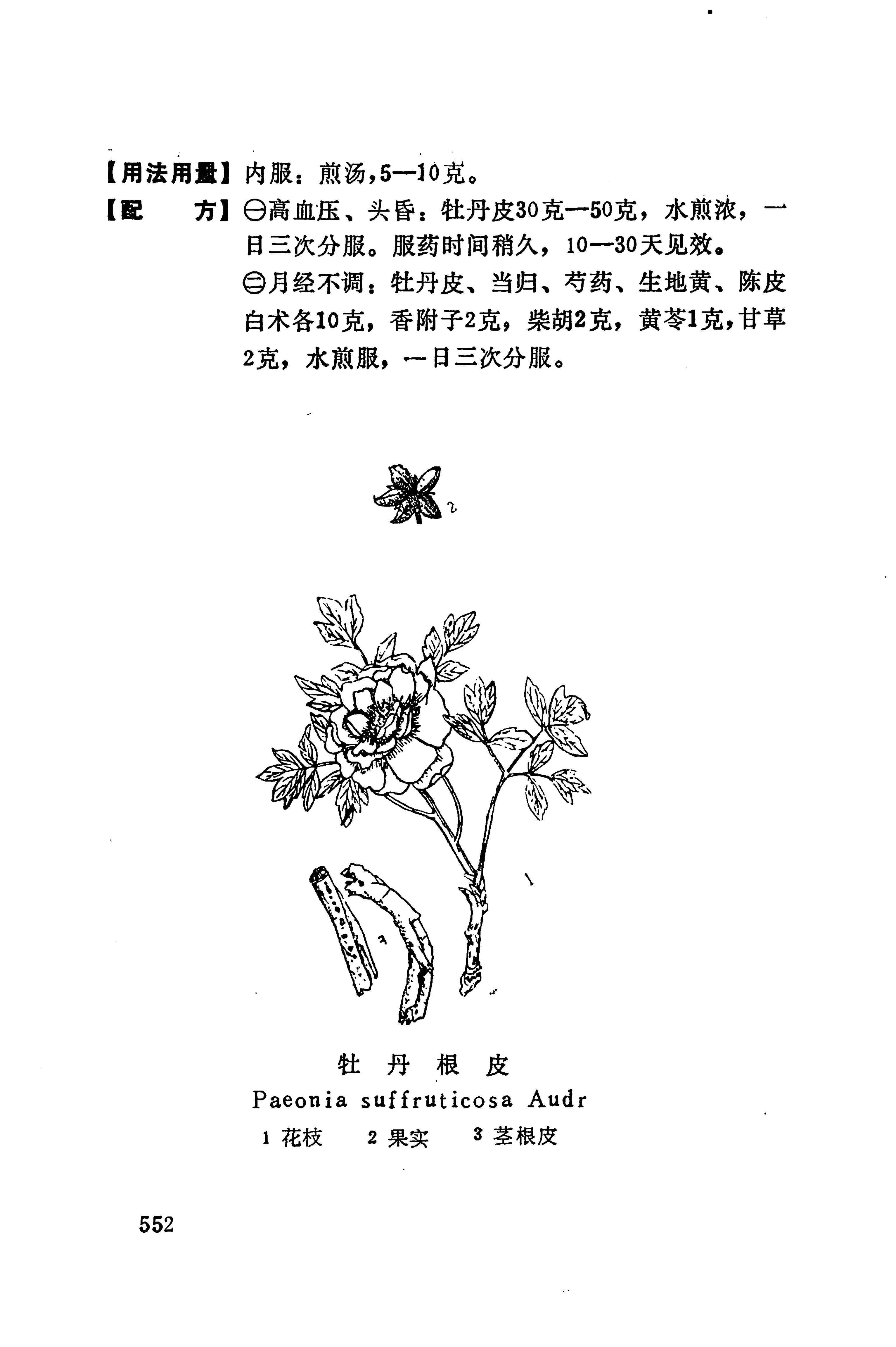 湘西苗药汇编_570.jpg