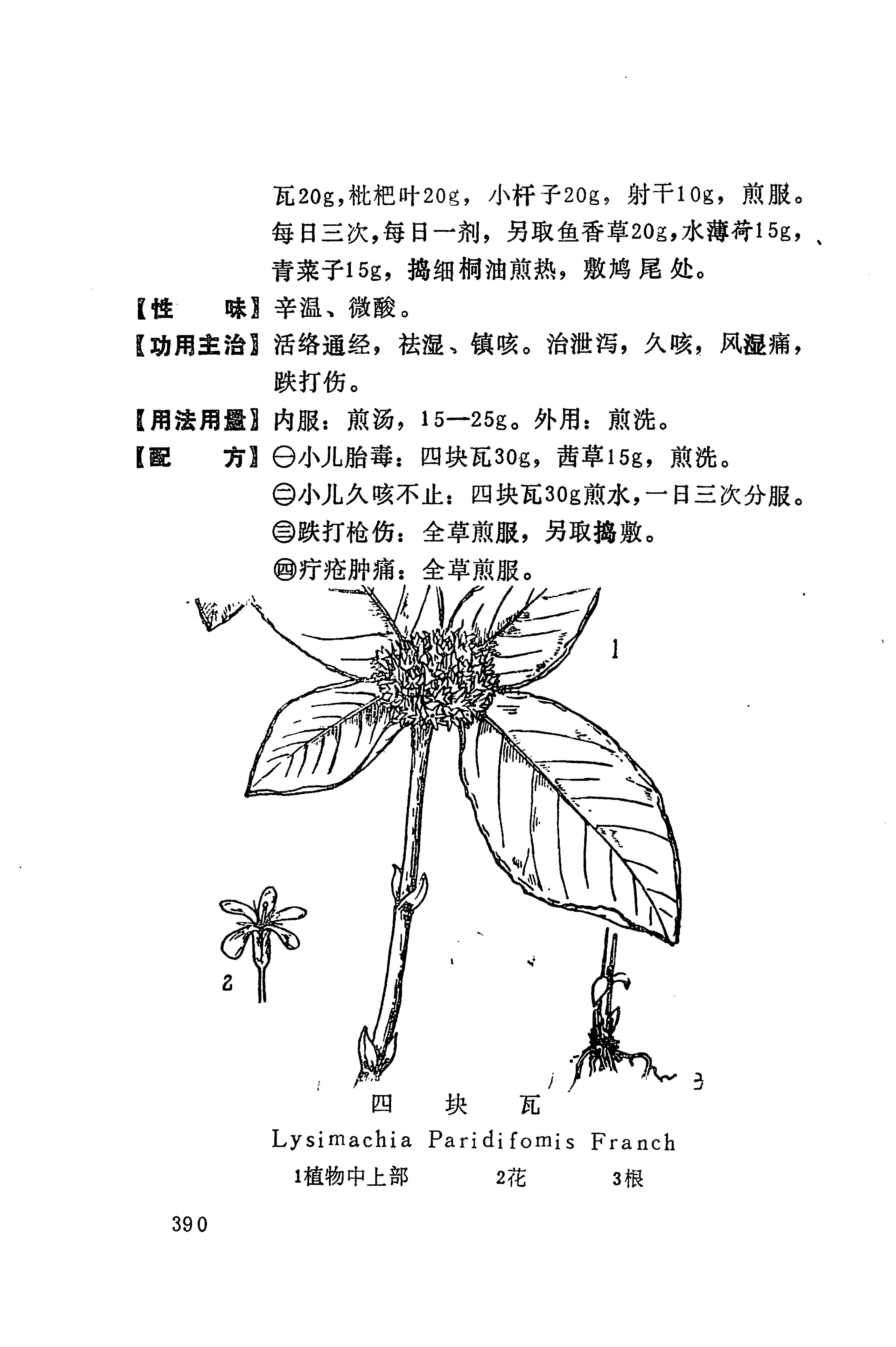 湘西苗药汇编_408.jpg