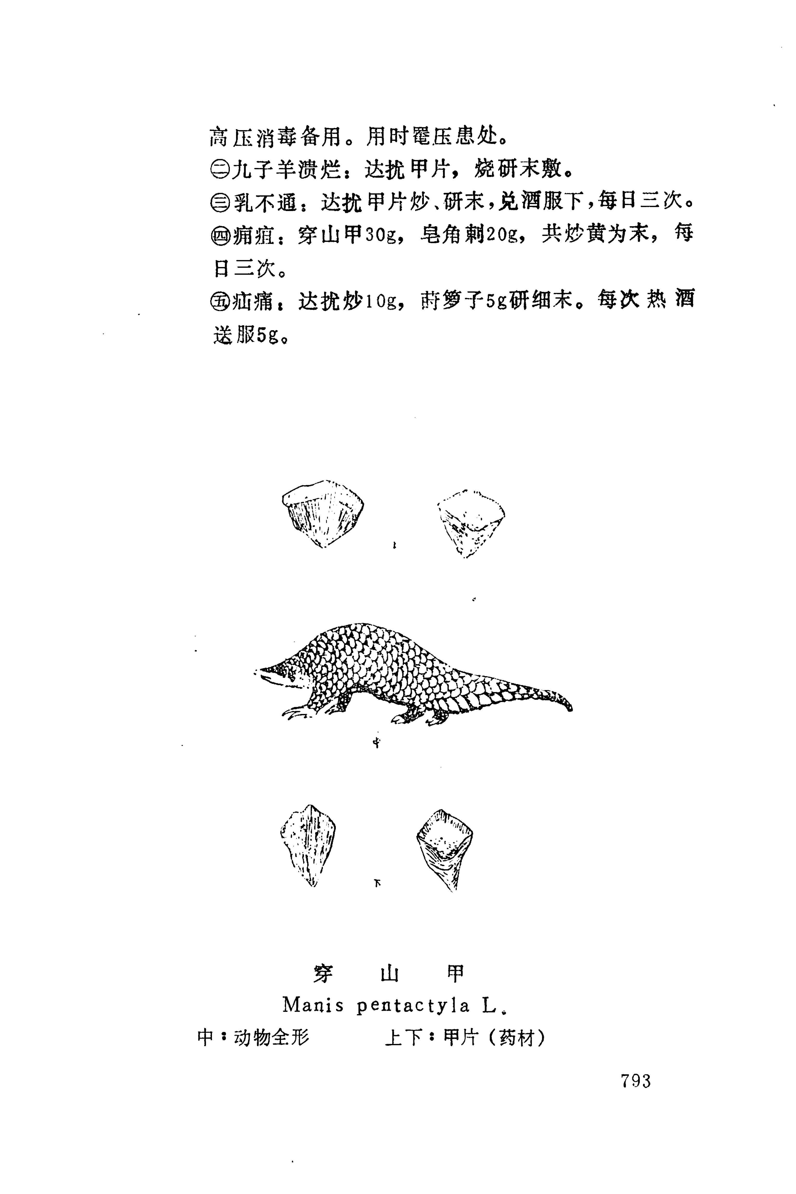 湘西苗药汇编_811.jpg