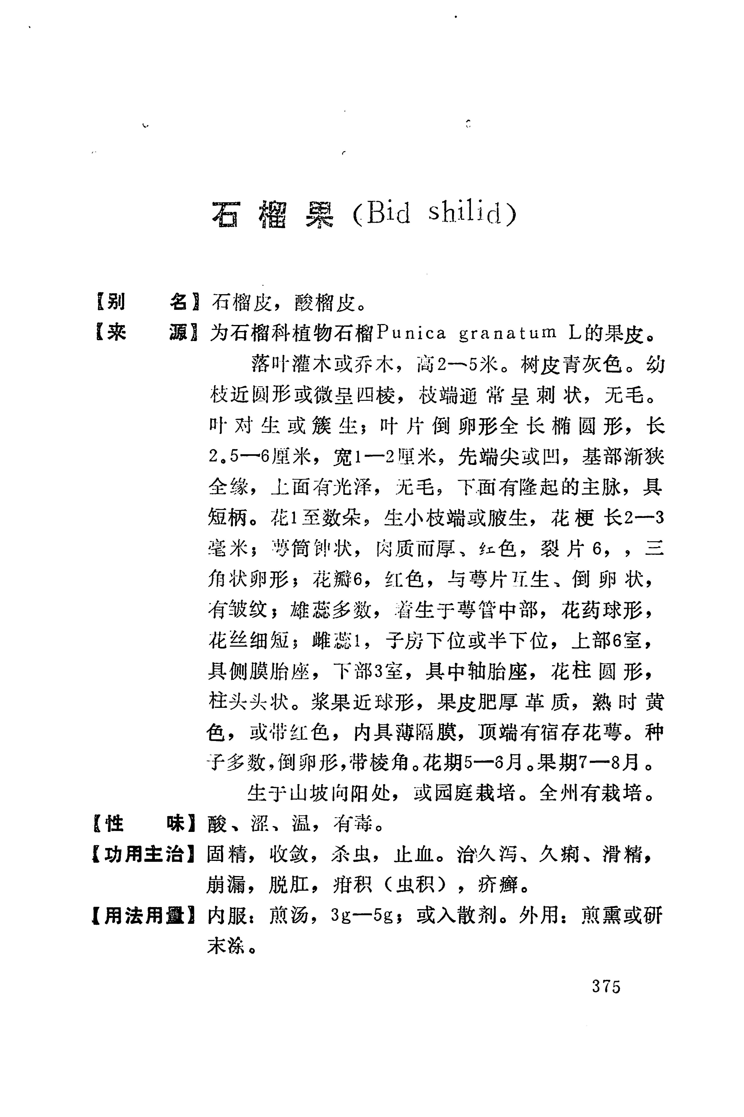湘西苗药汇编_393.jpg