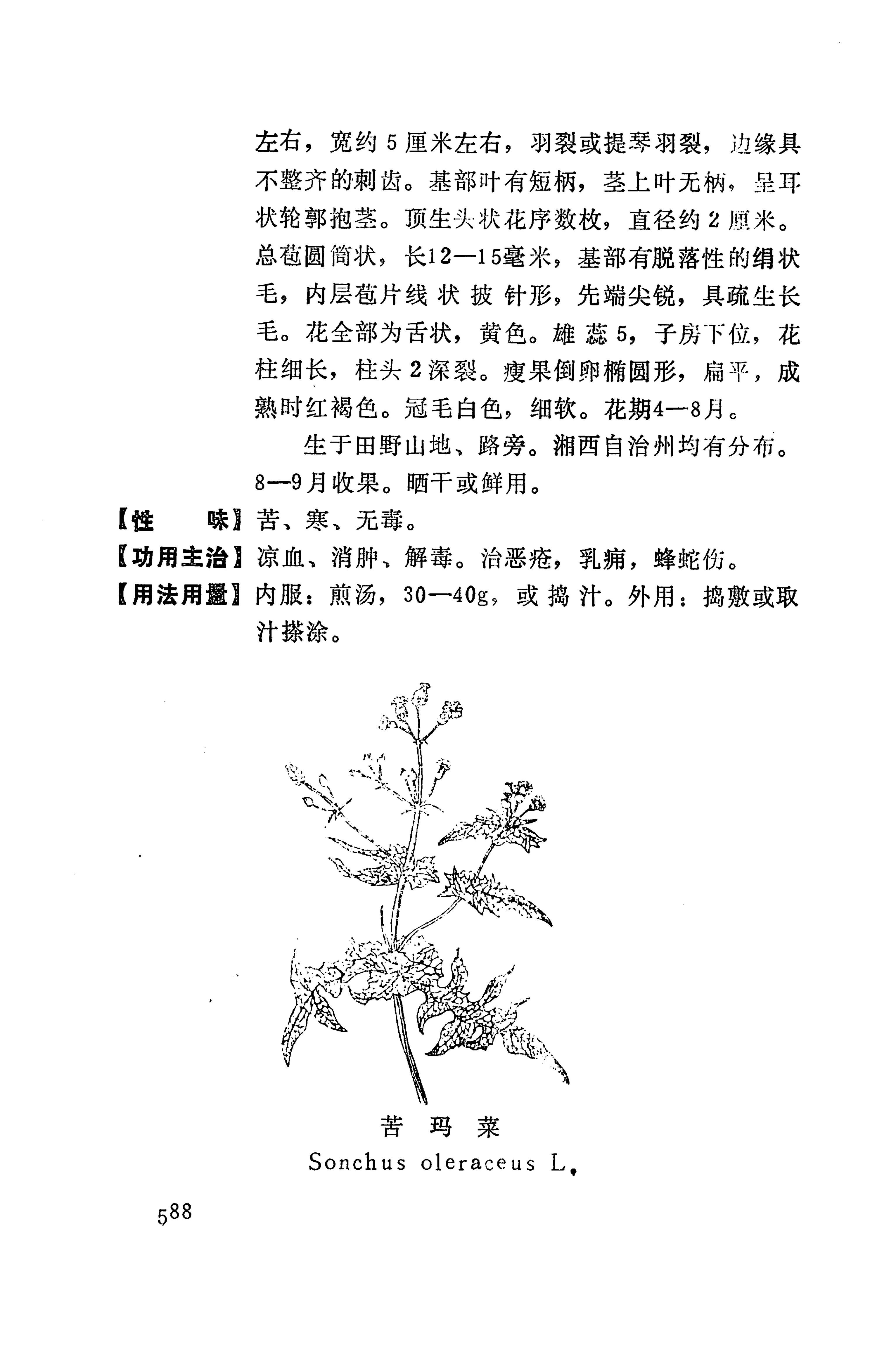 湘西苗药汇编_606.jpg
