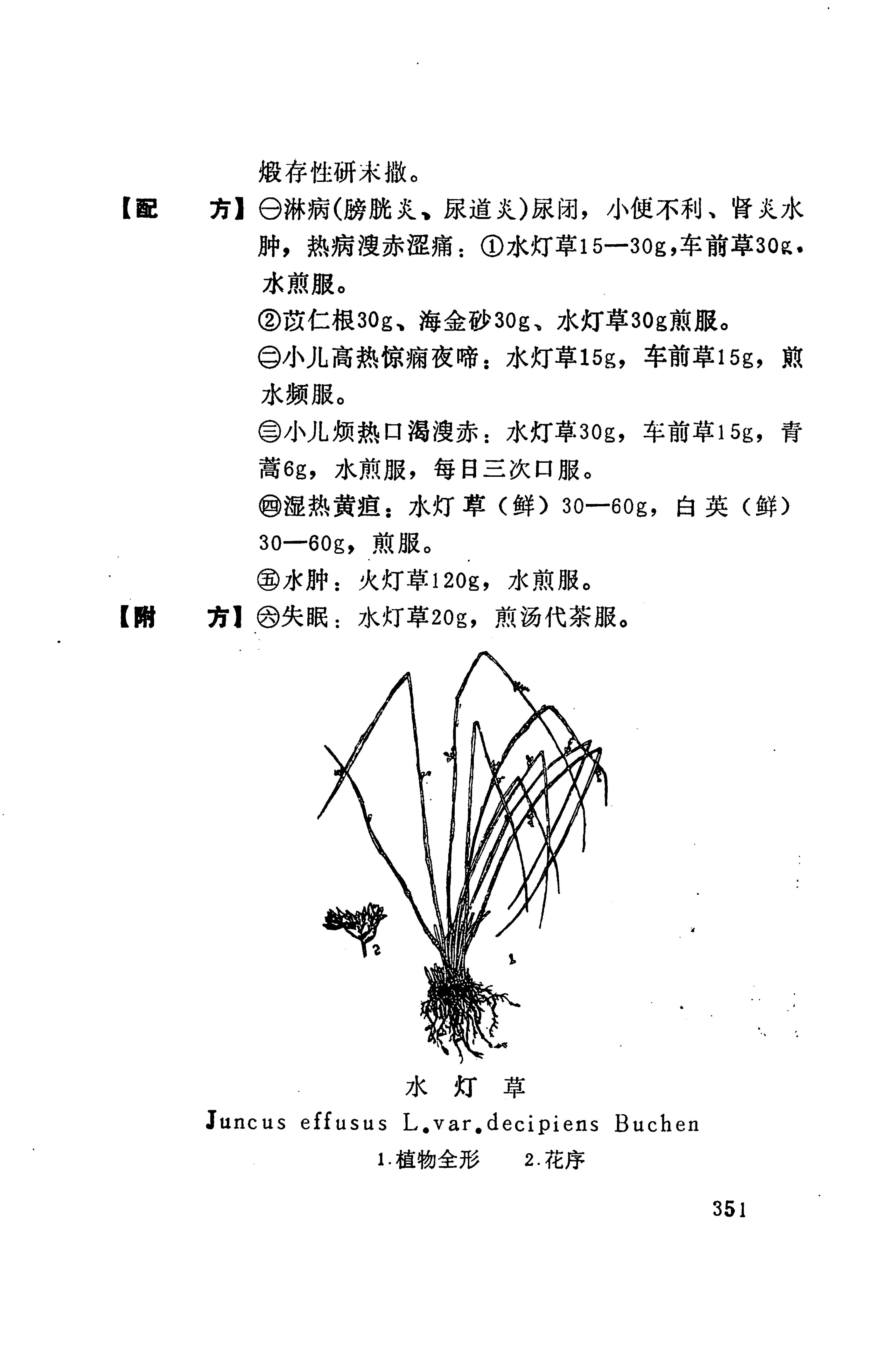 湘西苗药汇编_369.jpg