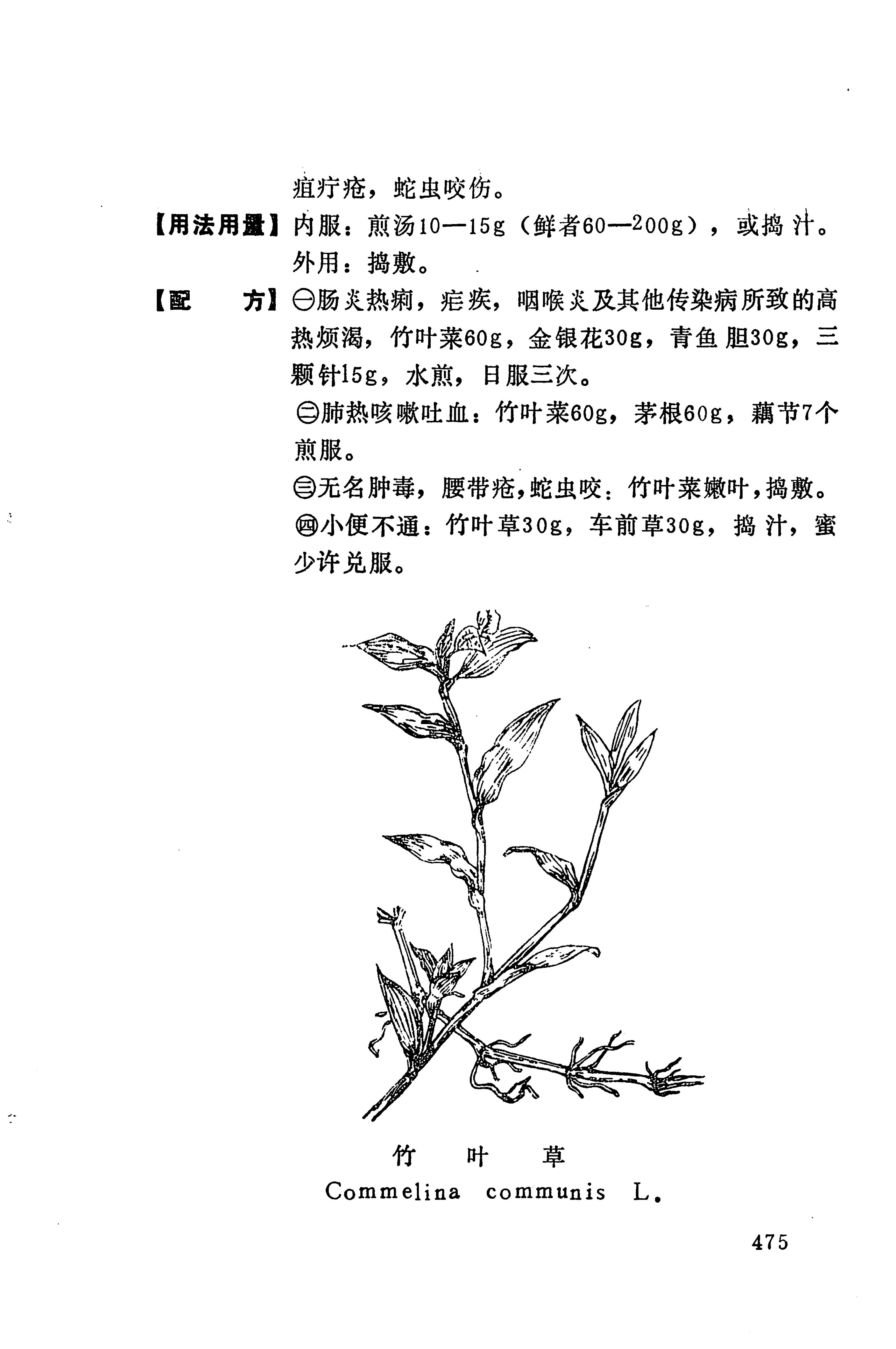 湘西苗药汇编_493.jpg